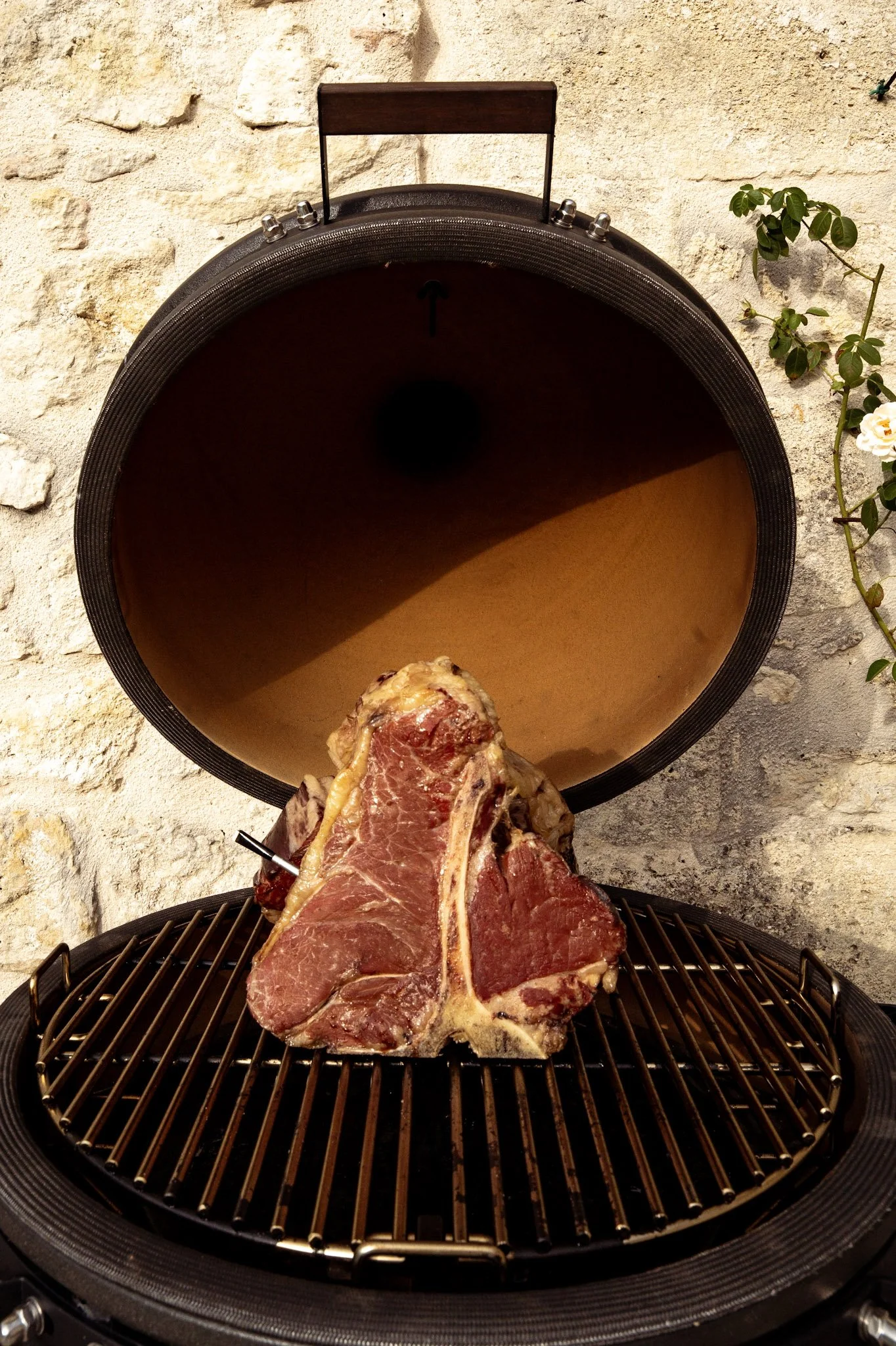 Une pièce de viande crus, posée sur une grille de barbecue, avec un fond de pierre et une plante.
