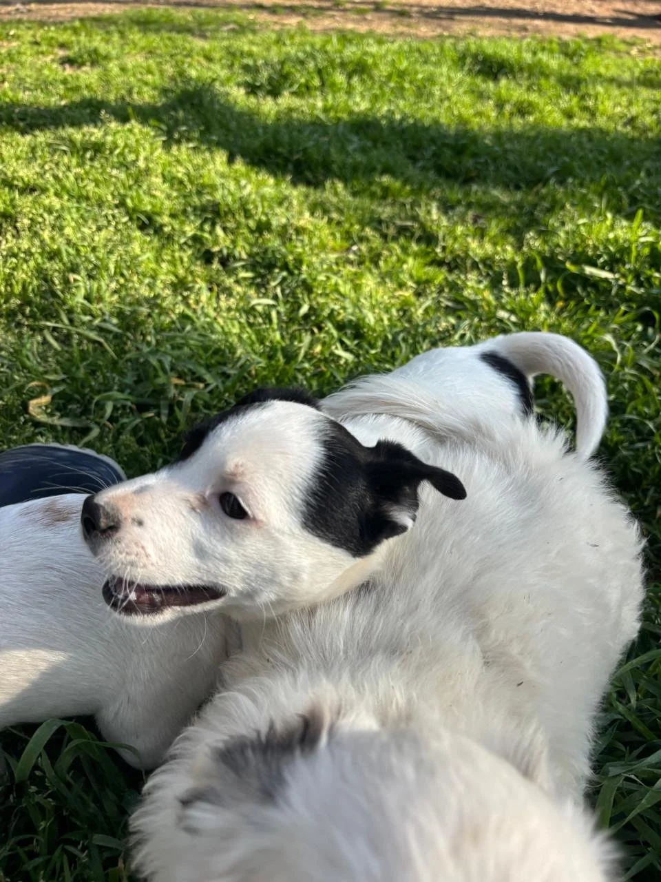 WhatsApp Image 2026-04-05 at 16.46.10 (2).jpeg