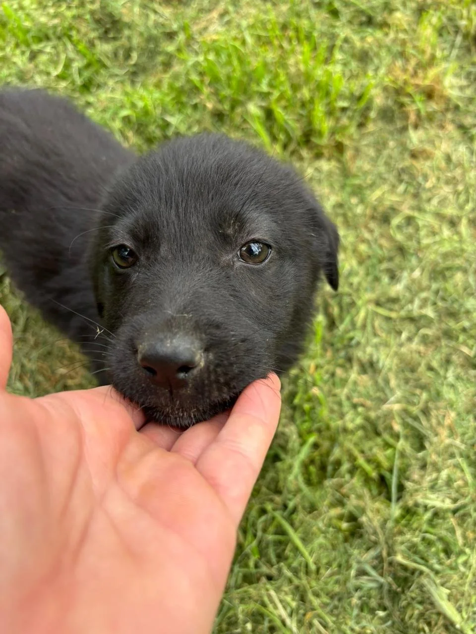 WhatsApp Image 2026-04-16 at 20.30.07 (1).jpeg