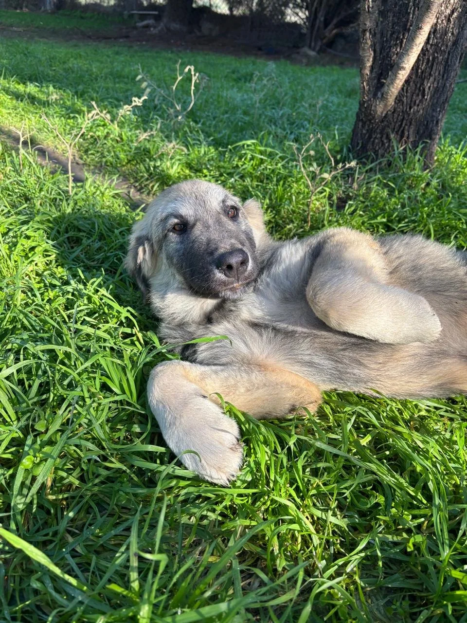 WhatsApp Bild 2025-12-12 um 17.23.10_76cfeaa5.jpg