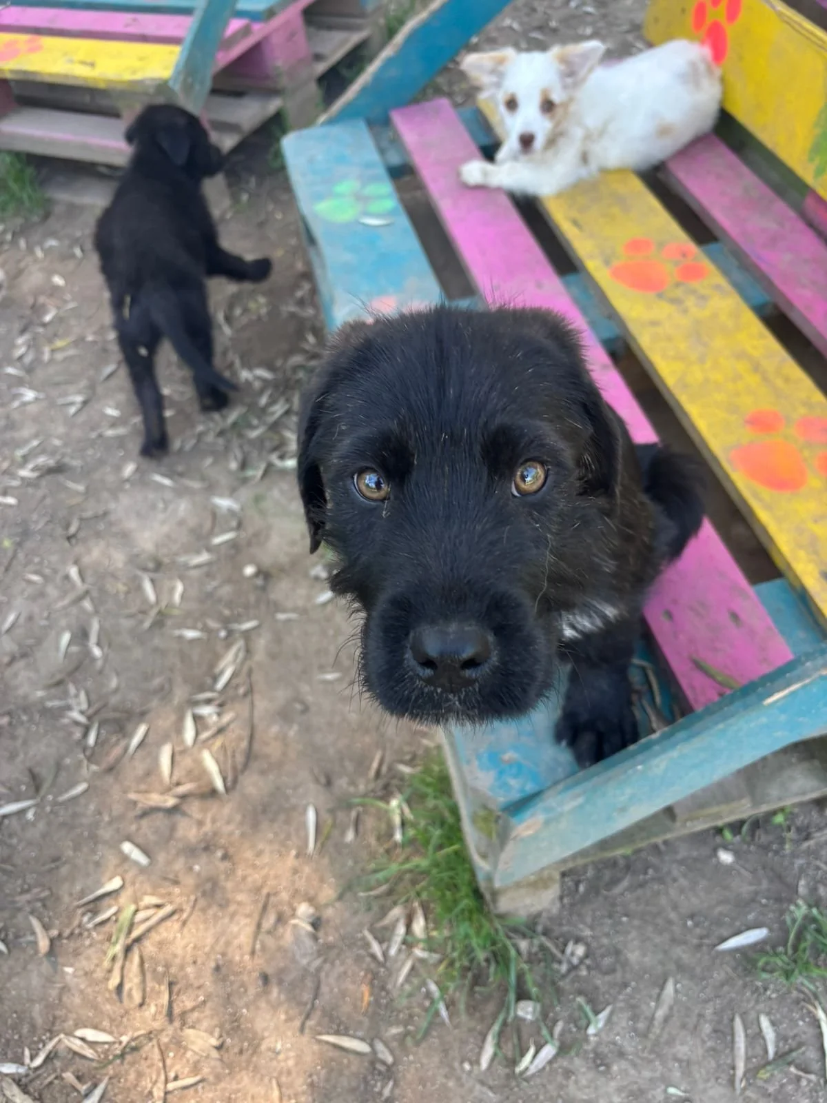 WhatsApp Image 2026-04-21 at 18.02.05.jpeg