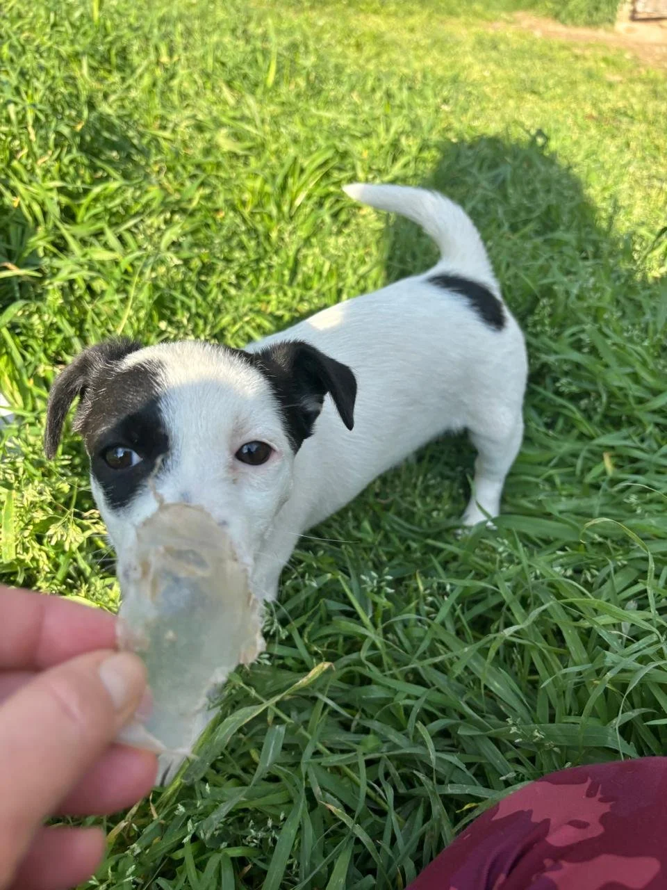 WhatsApp Image 2026-04-05 at 16.46.12 (4).jpeg