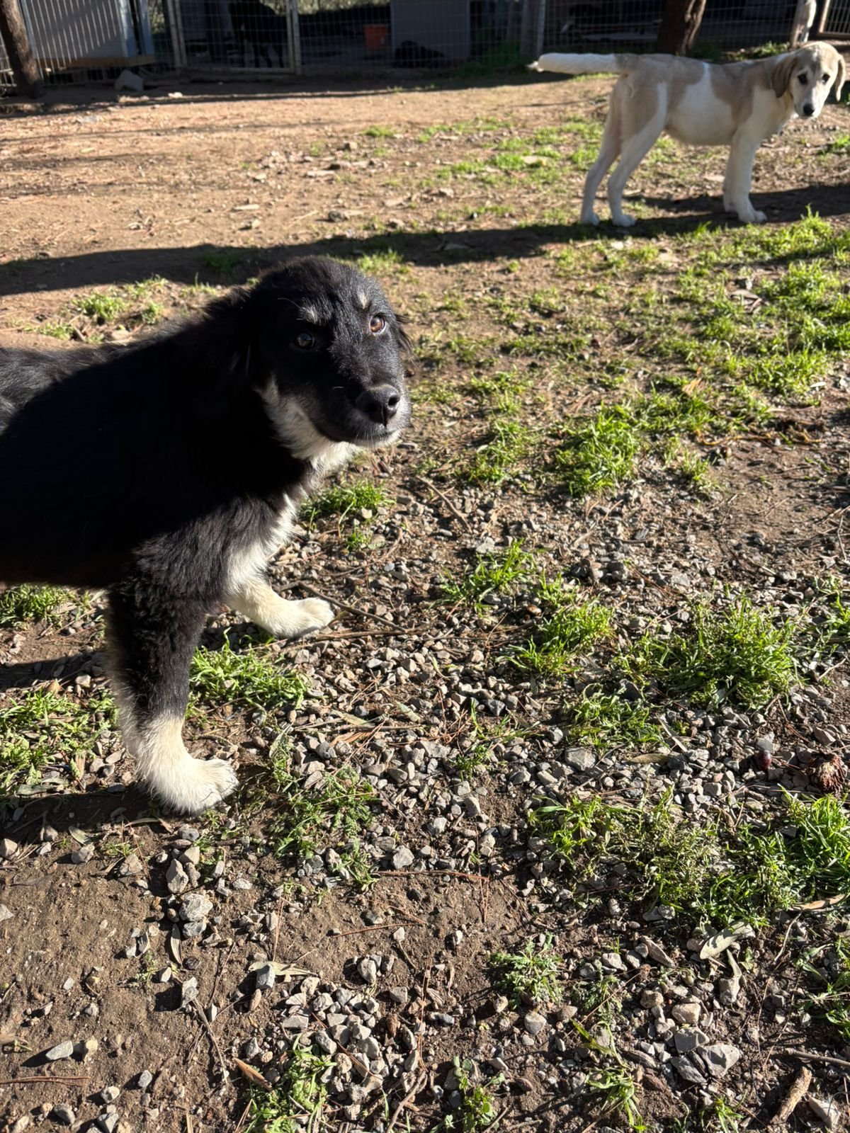 WhatsApp Bild 2025-12-09 um 13.44.16_5095bfc4.jpg