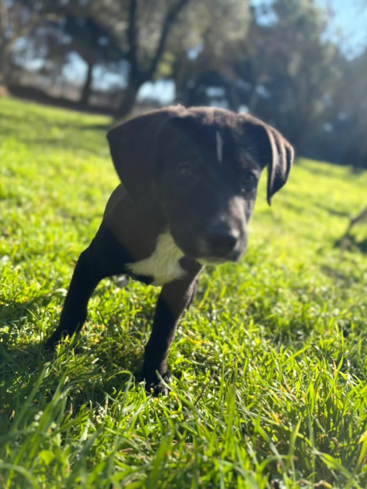 WhatsApp Image 2025-12-27 at 17.57.29.jpeg