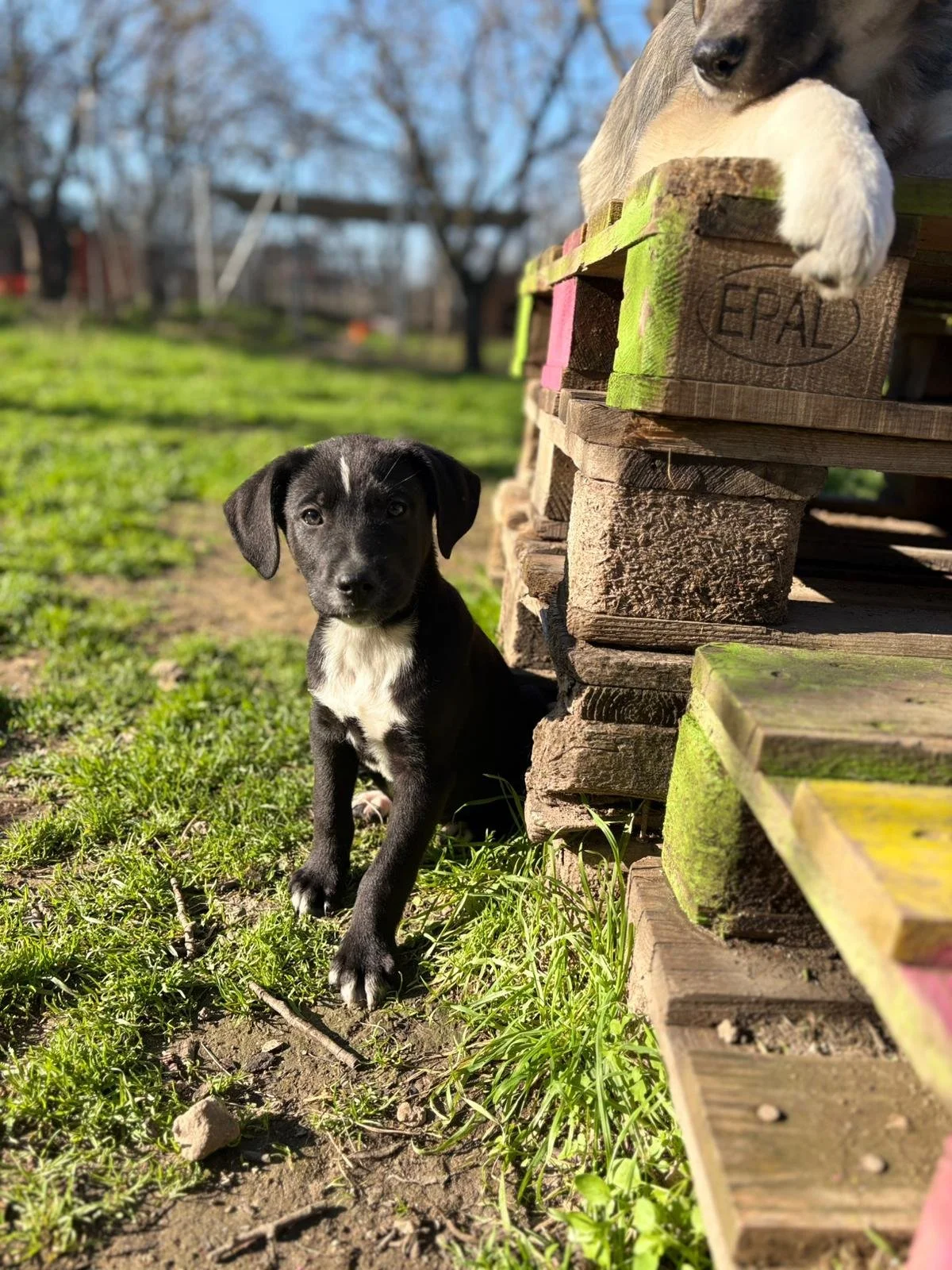 WhatsApp Image 2025-12-27 at 17.57.27.jpeg