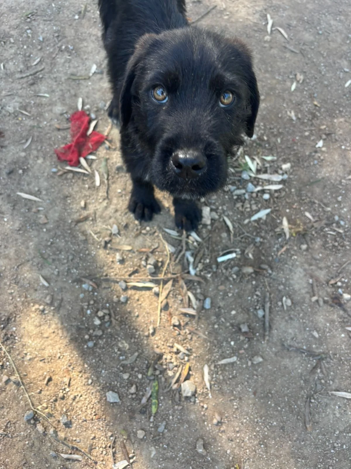 WhatsApp Image 2026-04-21 at 18.01.59.jpeg