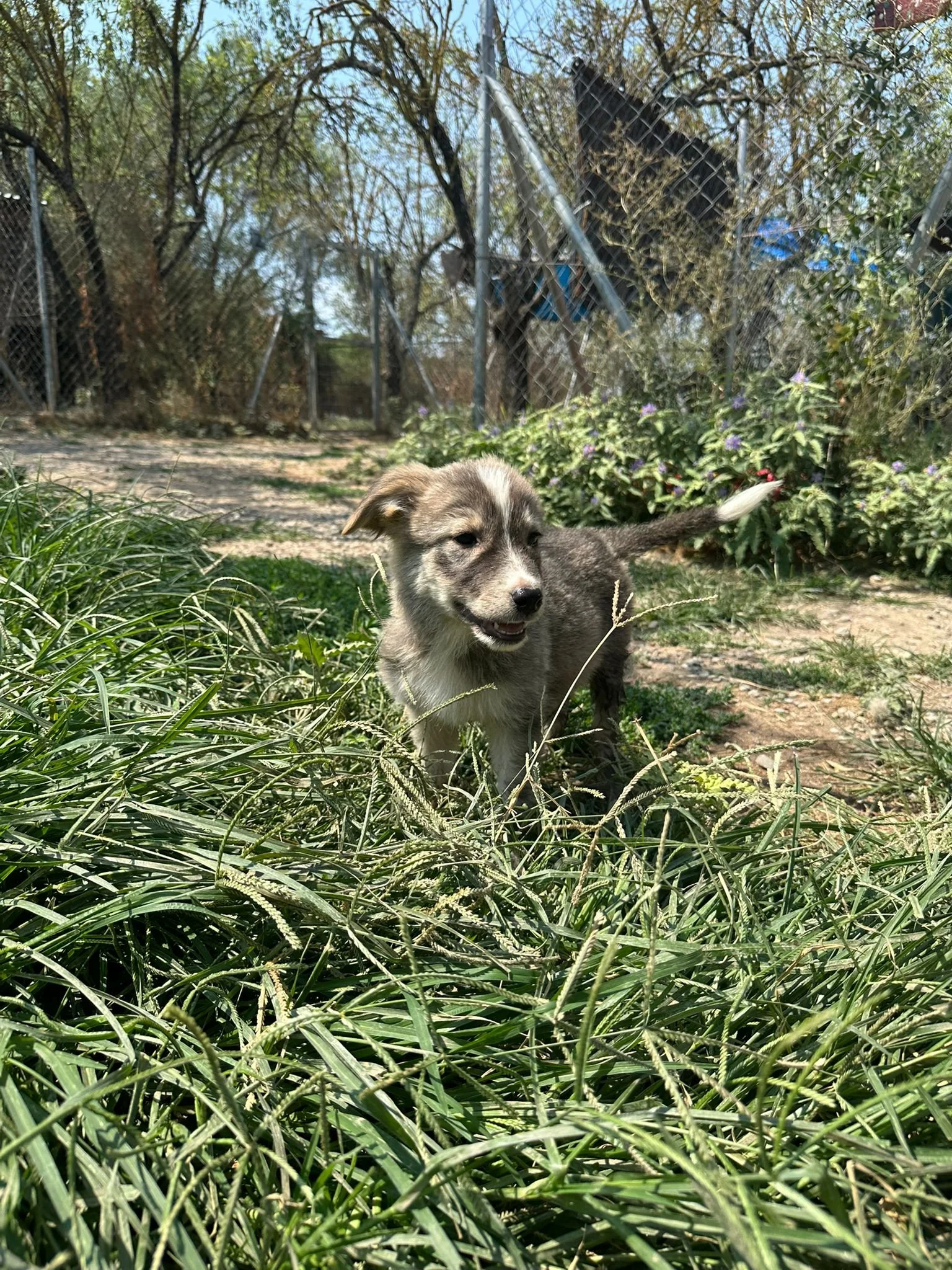 sophie11.jpg