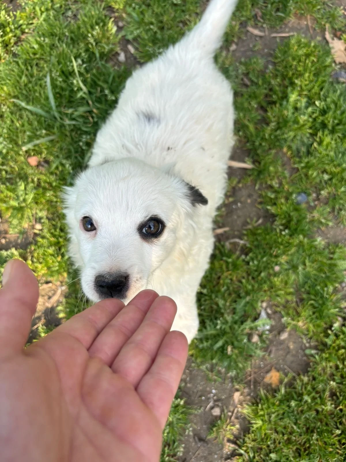 WhatsApp Image 2026-04-05 at 16.36.16.jpeg