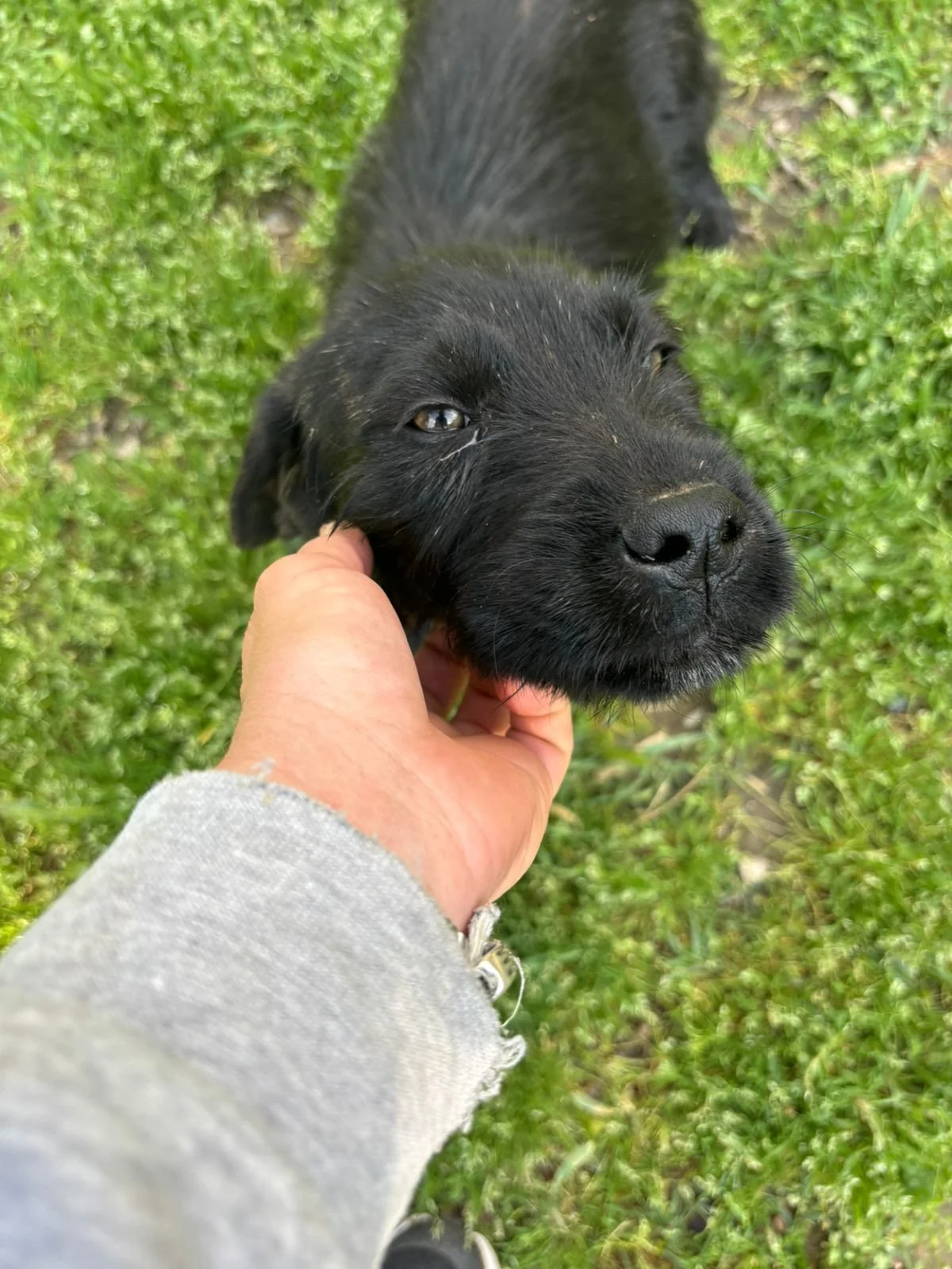 WhatsApp Image 2026-04-23 at 18.35.342.jpeg