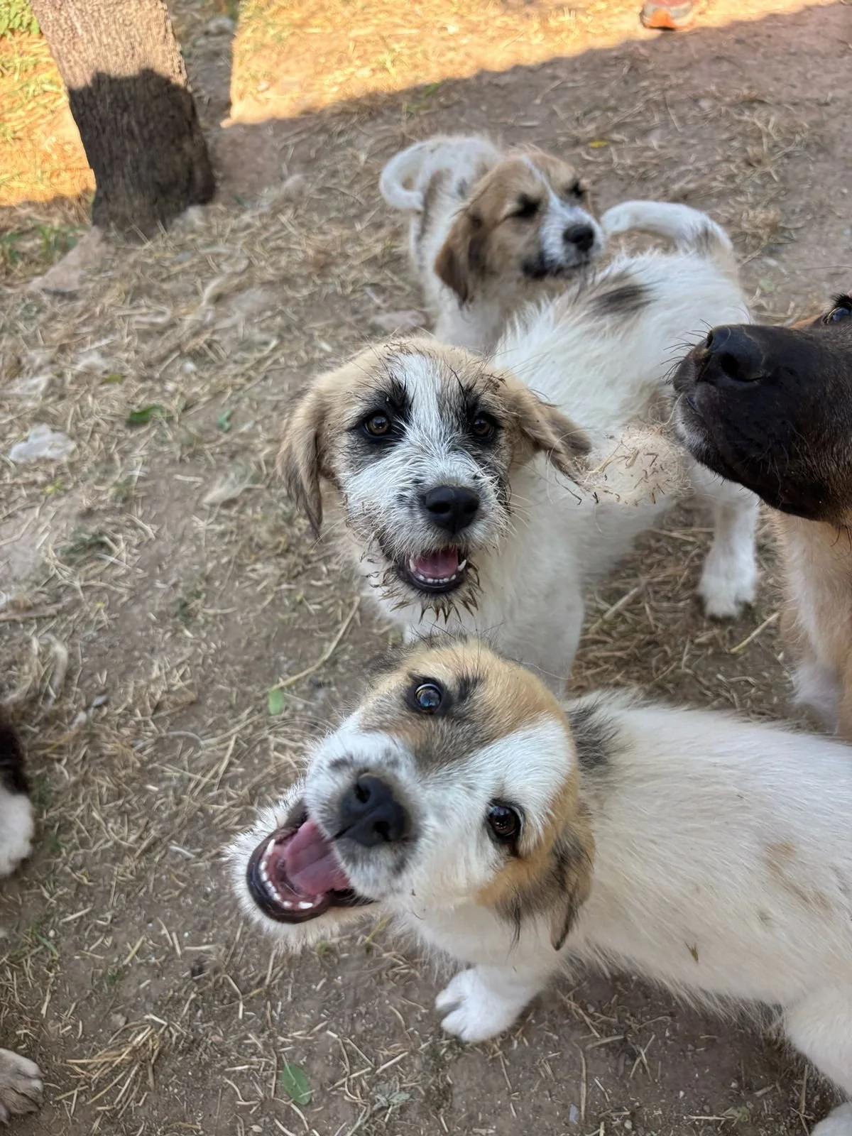 sila und frina .jpeg