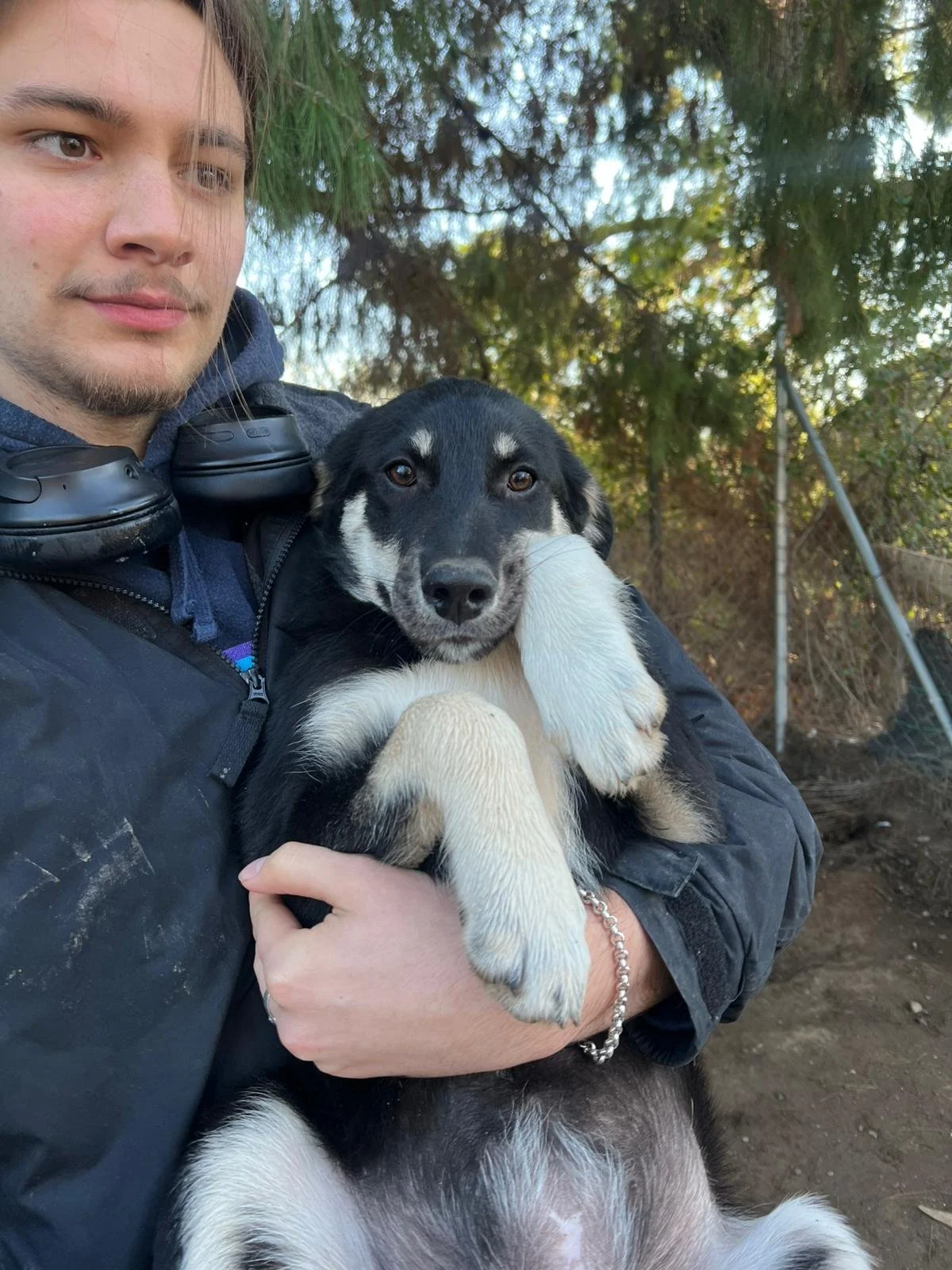 WhatsApp Bild 2025-12-01 um 10.14.26_f4746c2e.jpg