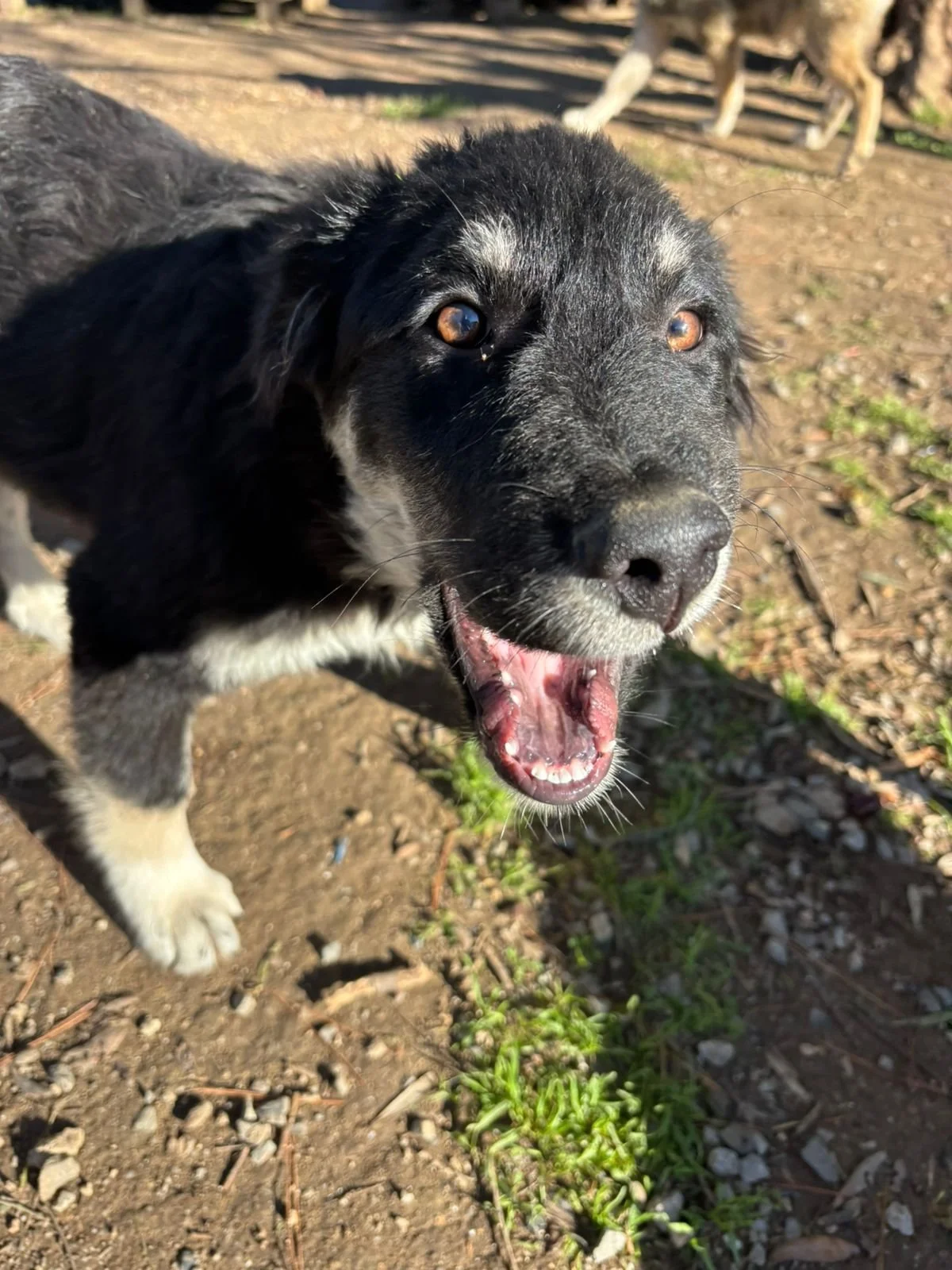 WhatsApp Bild 2025-12-09 um 13.44.16_da35242e.jpg