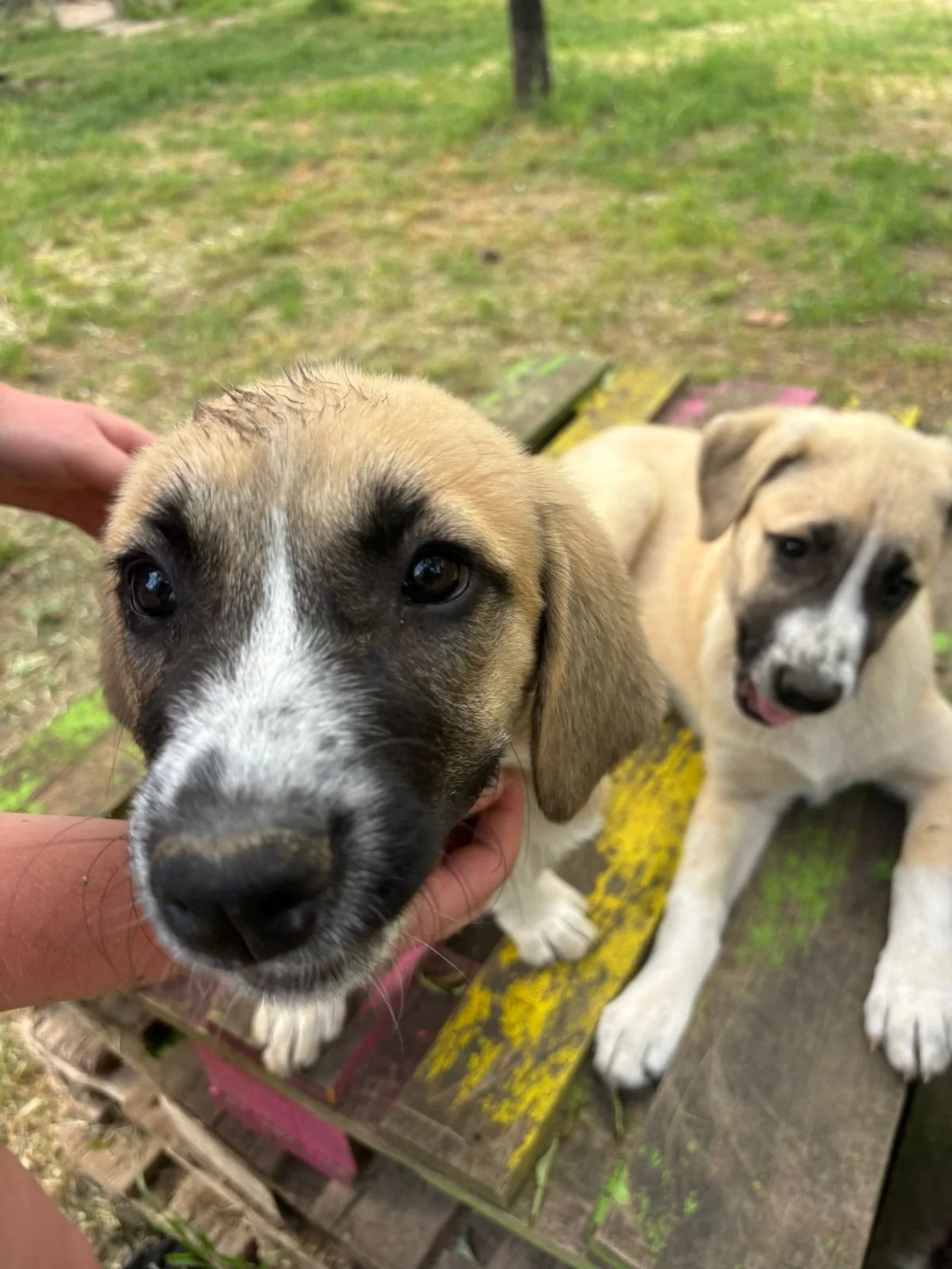 WhatsApp Image 2026-05-24 at 21.23.34 (2).jpeg