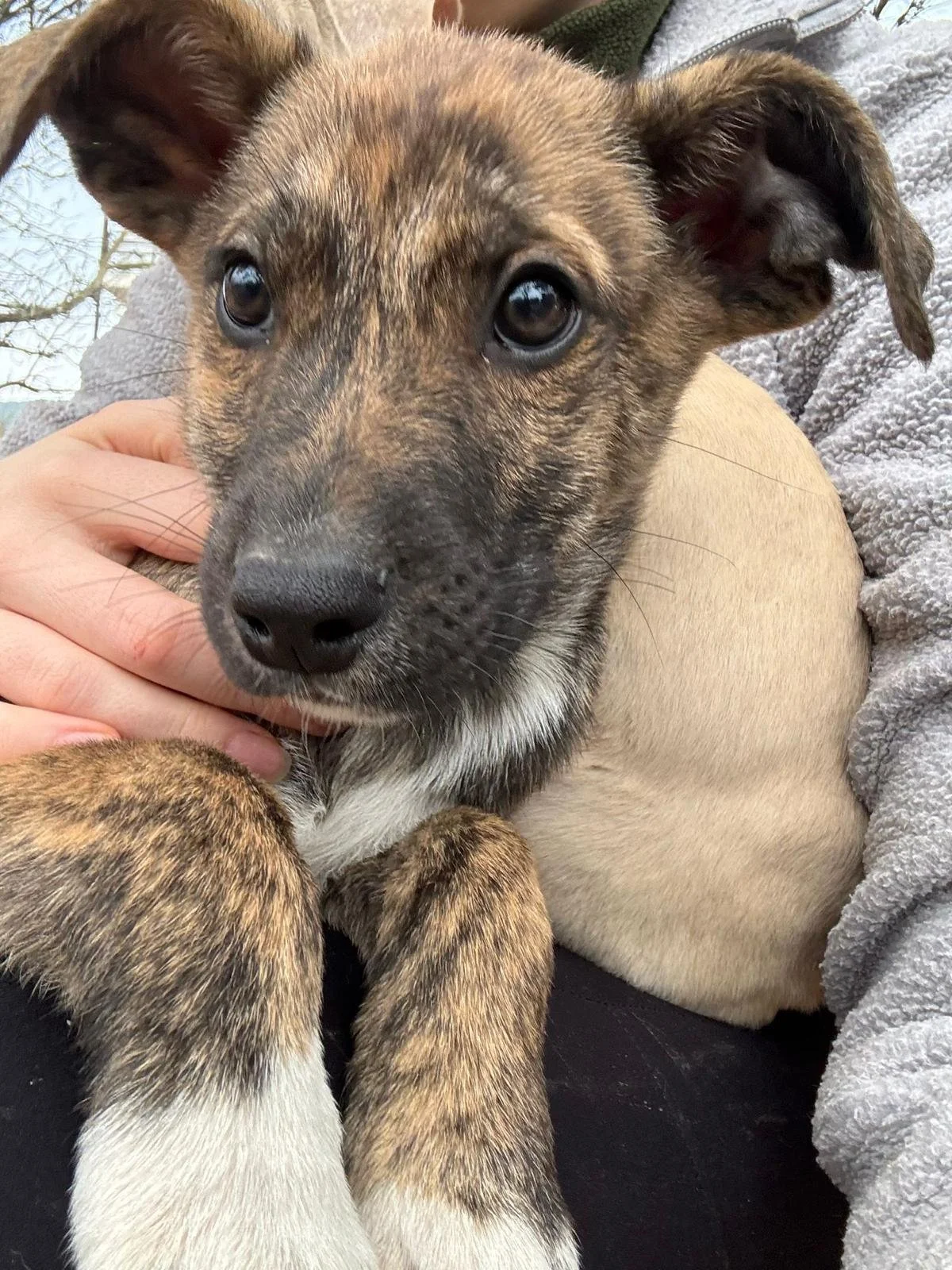 WhatsApp Image 2025-12-27 at 19.25.24.jpeg