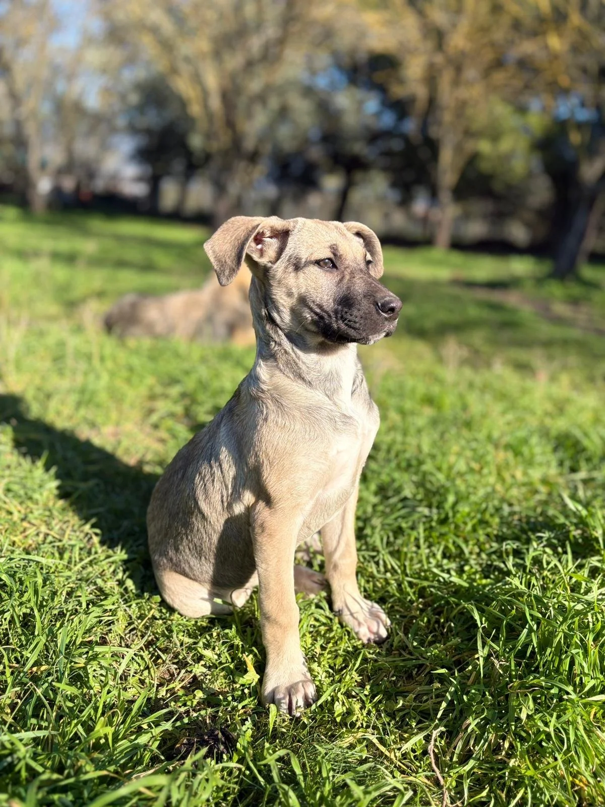 WhatsApp Image 2025-12-27 at 17.57.26.jpeg