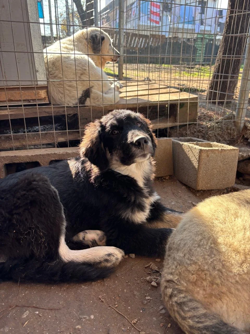 WhatsApp Bild 2025-12-12 um 17.22.40_fd501c77.jpg