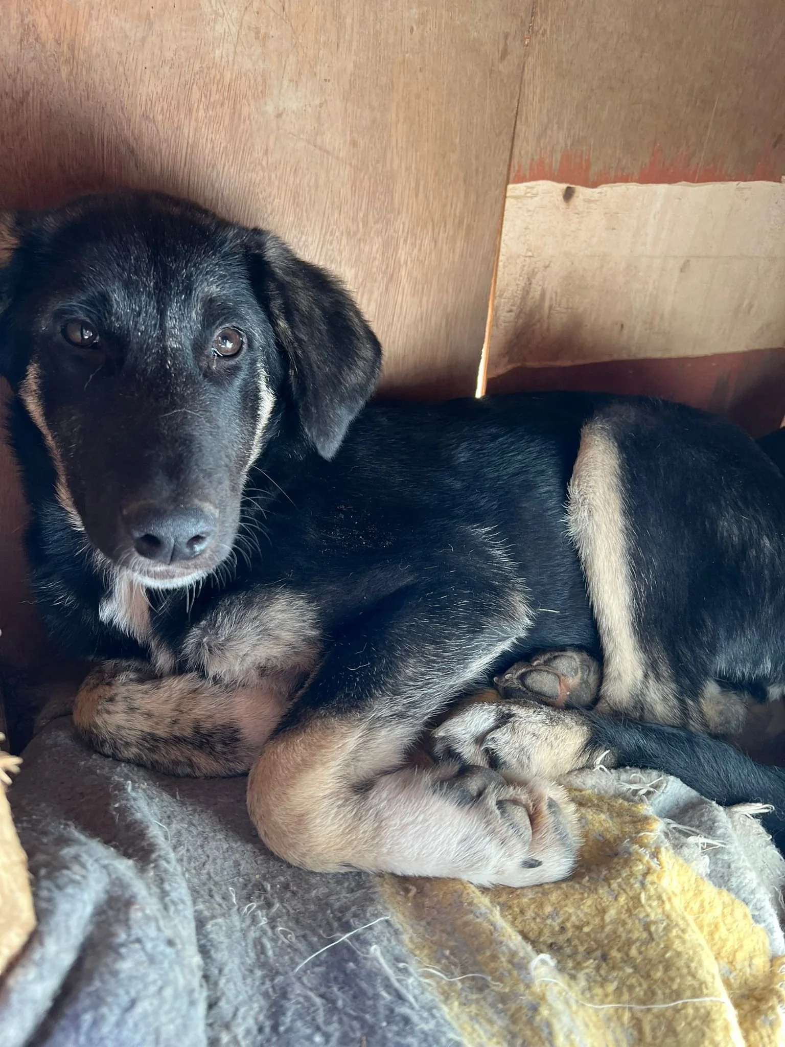 WhatsApp Bild 2025-11-30 um 12.54.04_f1766cfa.jpg