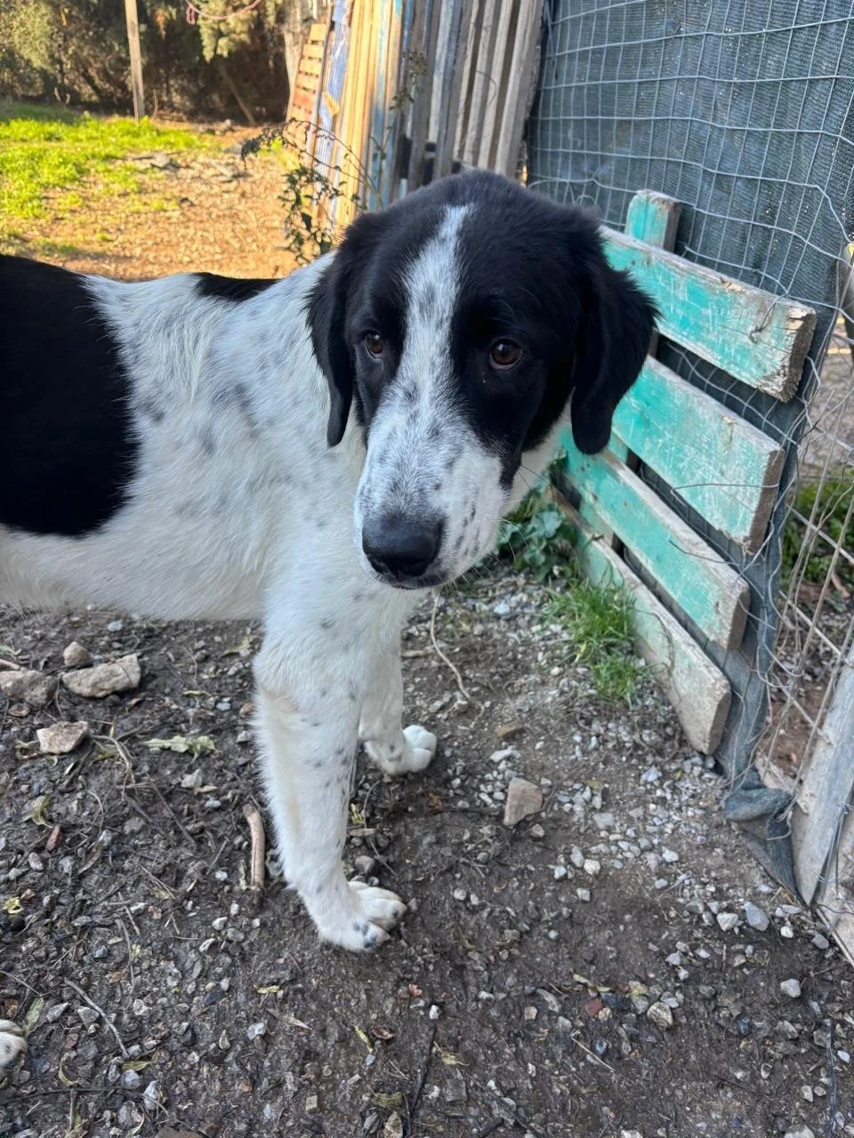 WhatsApp Image 2026-01-02 at 19.55.55.jpeg