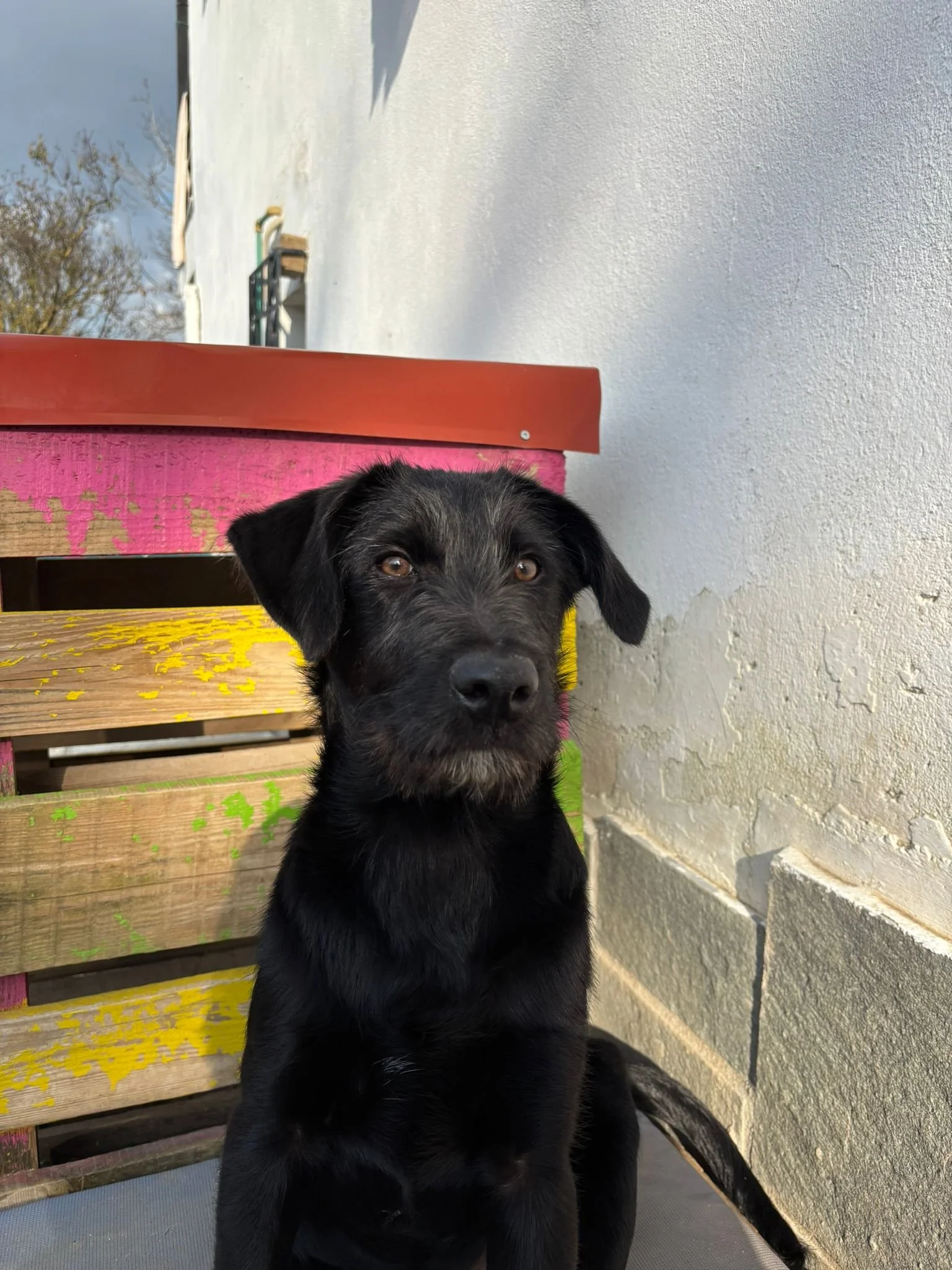 WhatsApp Image 2025-12-27 at 19.20.26.jpeg