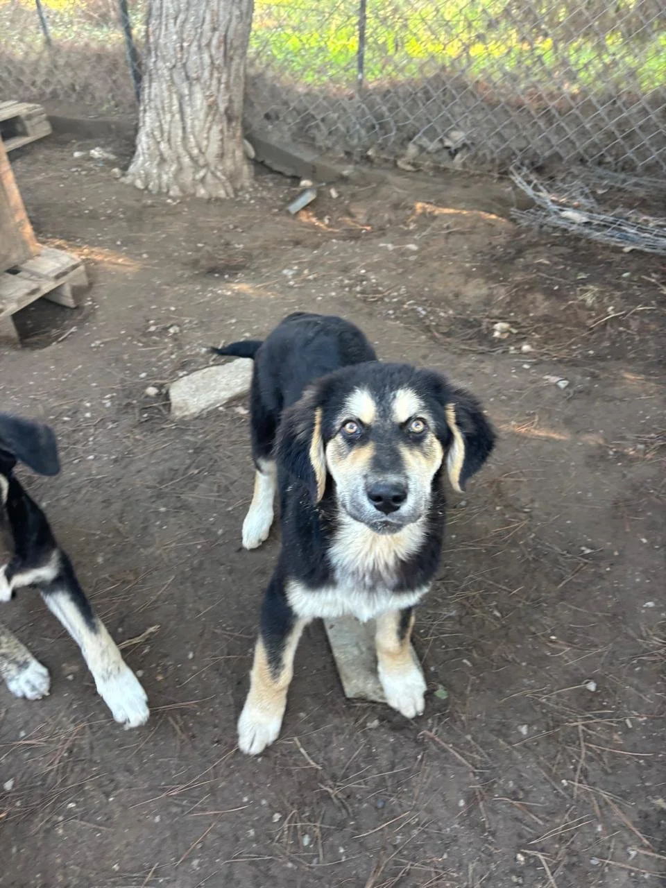 WhatsApp Bild 2025-12-09 um 13.36.55_477c0e34.jpg