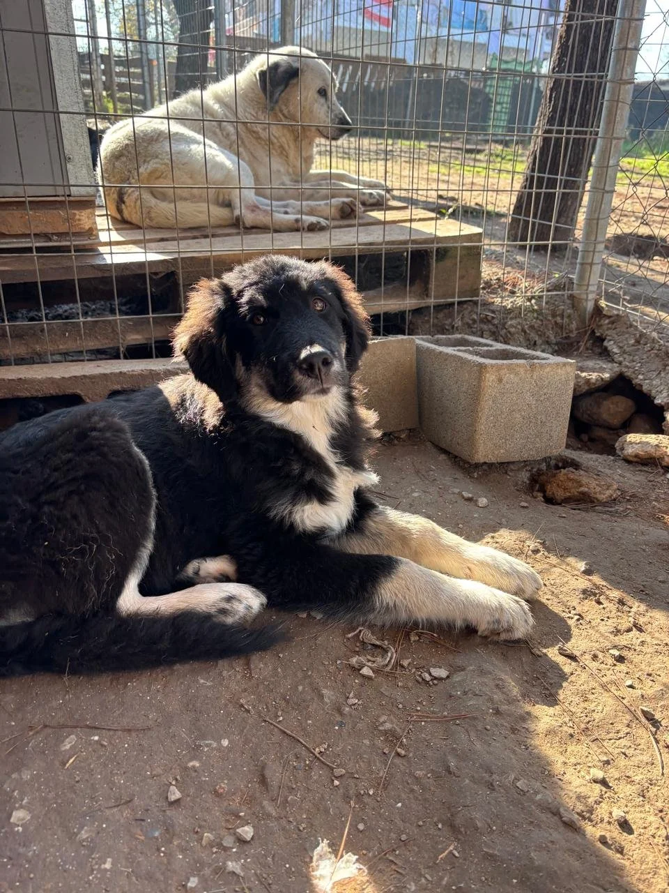 WhatsApp Bild 2025-12-12 um 17.22.39_619a5993.jpg