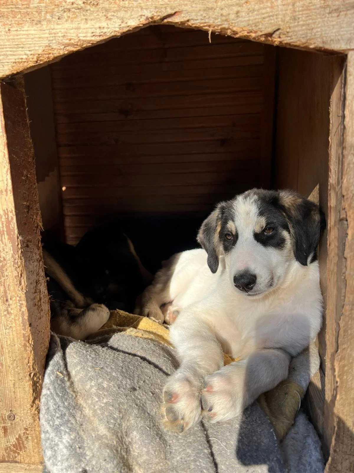 WhatsApp Bild 2025-11-30 um 12.54.37_571675ba.jpg