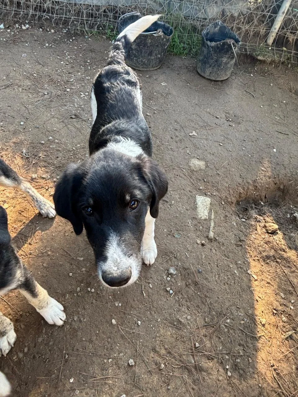 WhatsApp Bild 2025-12-09 um 13.40.42_4081e006.jpg