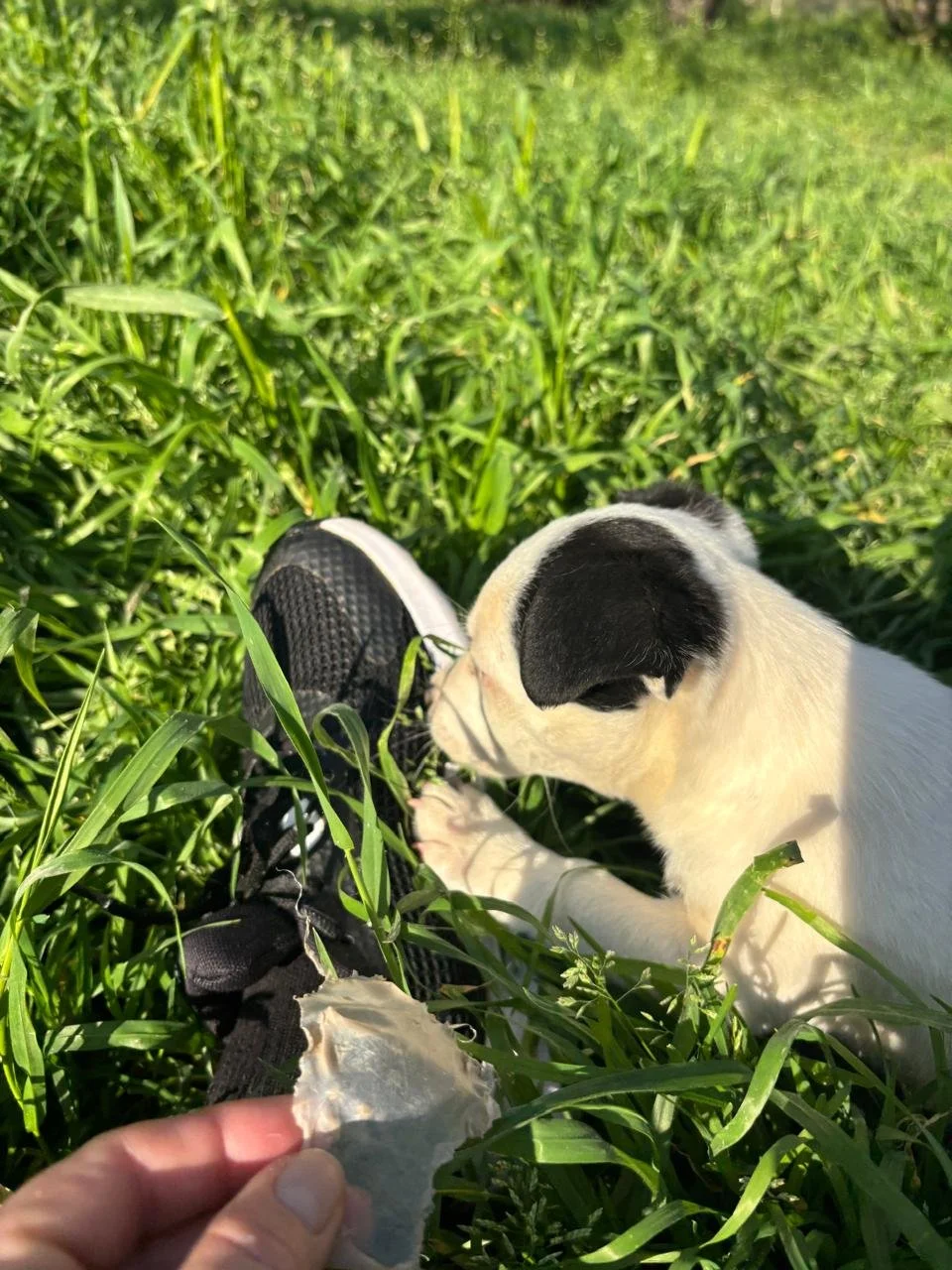 WhatsApp Image 2026-04-05 at 16.46.12 (3).jpeg