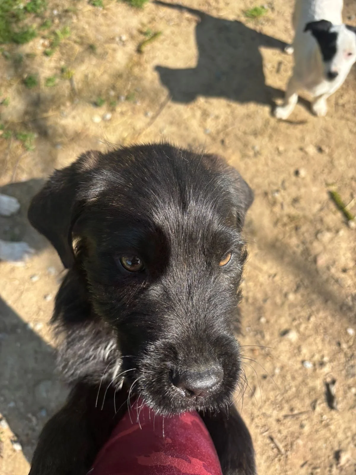 WhatsApp Image 2026-04-21 at 18.02.03.jpeg