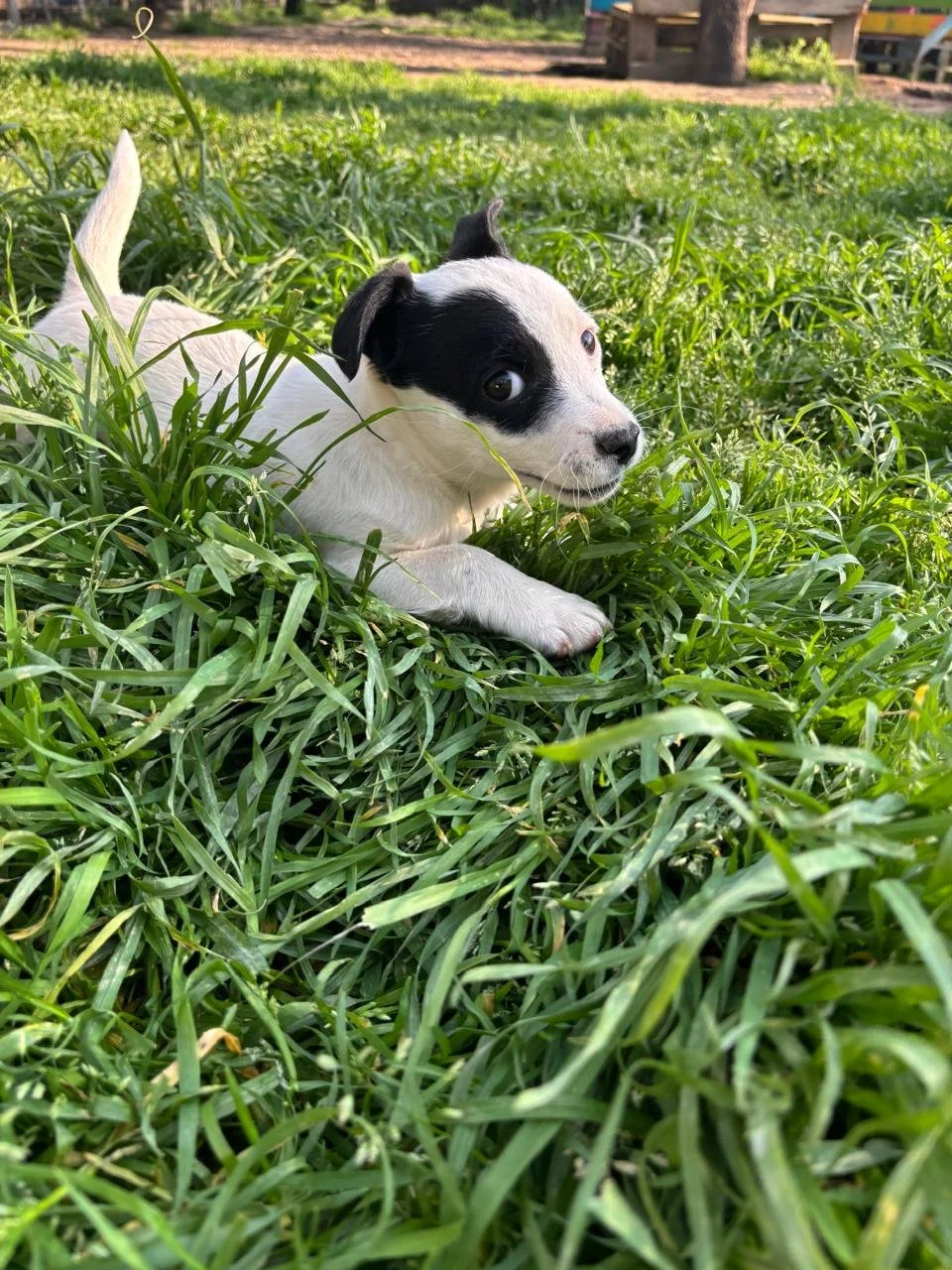 WhatsApp Image 2026-04-05 at 16.46.12 (1).jpeg