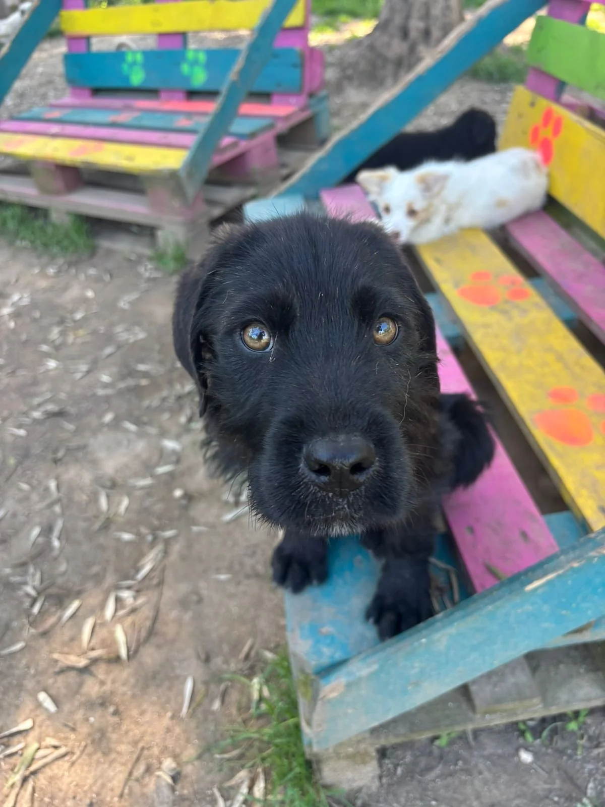 WhatsApp Image 2026-04-21 at 18.02.04.jpeg