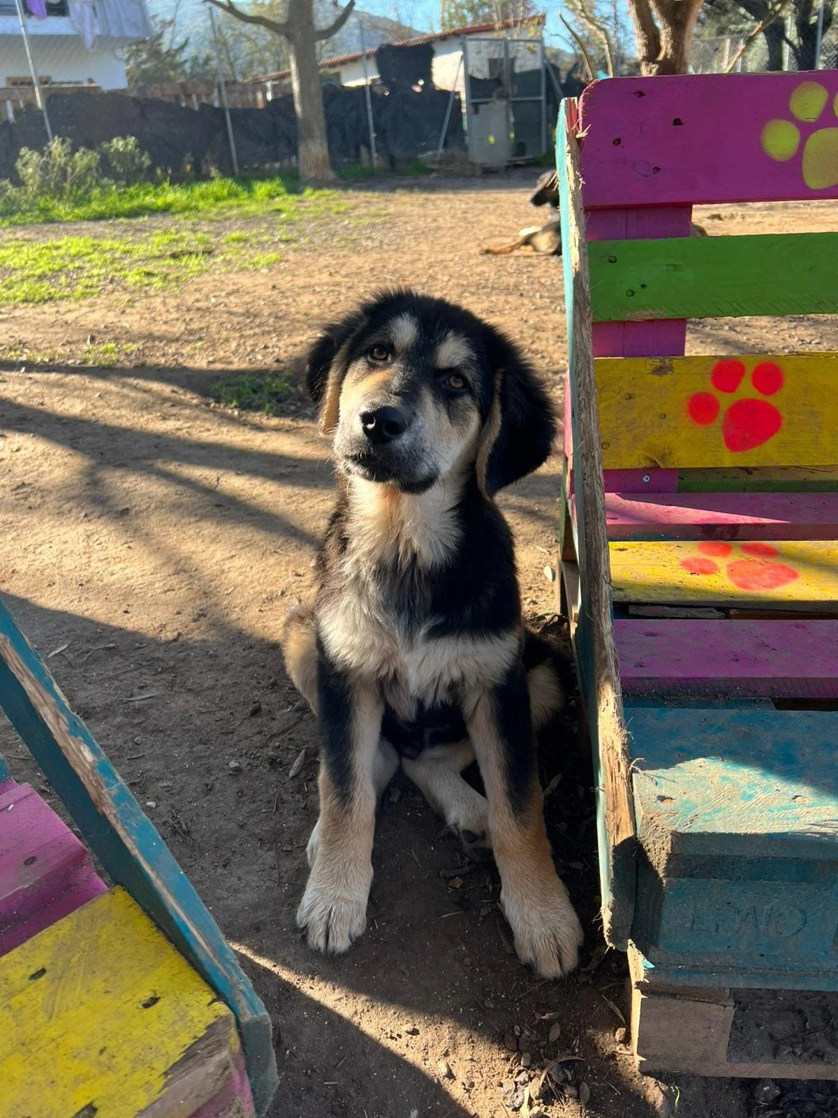 WhatsApp Bild 2025-12-01 um 10.25.54_1ded2c4e.jpg