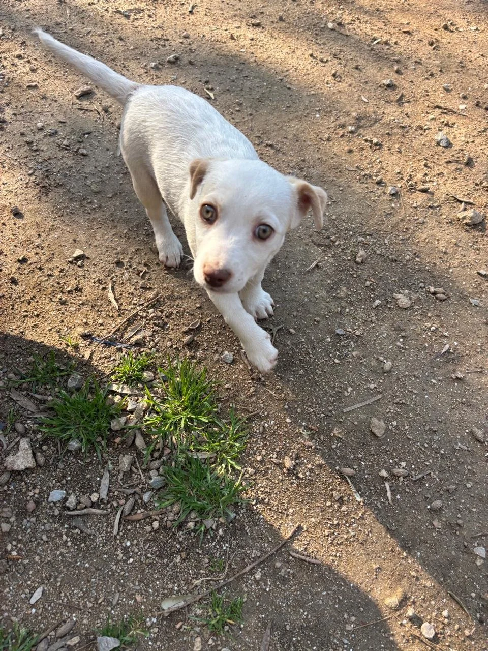 WhatsApp Image 2026-04-05 at 16.42.19.jpeg