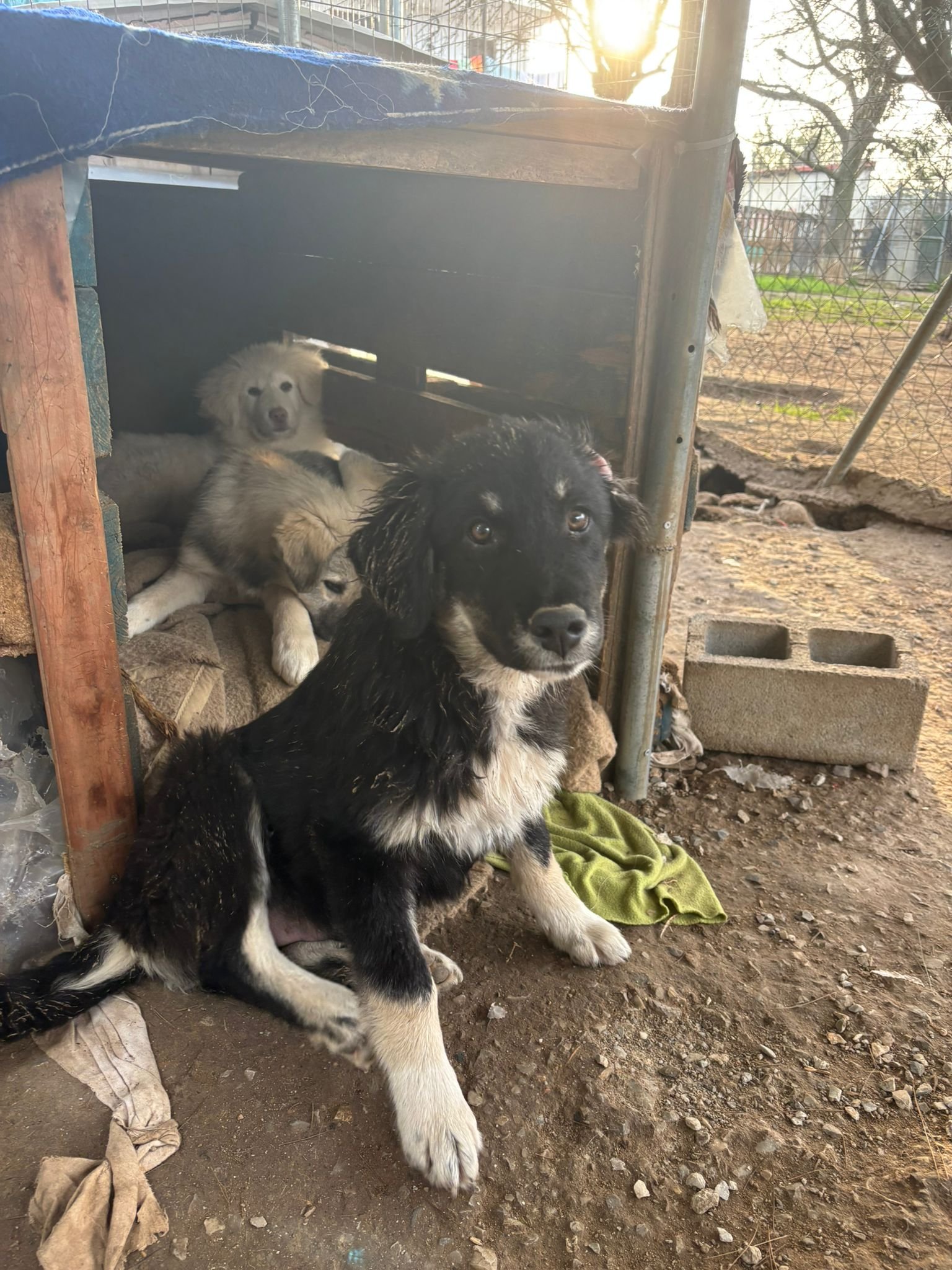 WhatsApp Image 2025-12-27 at 19.20.24.jpeg