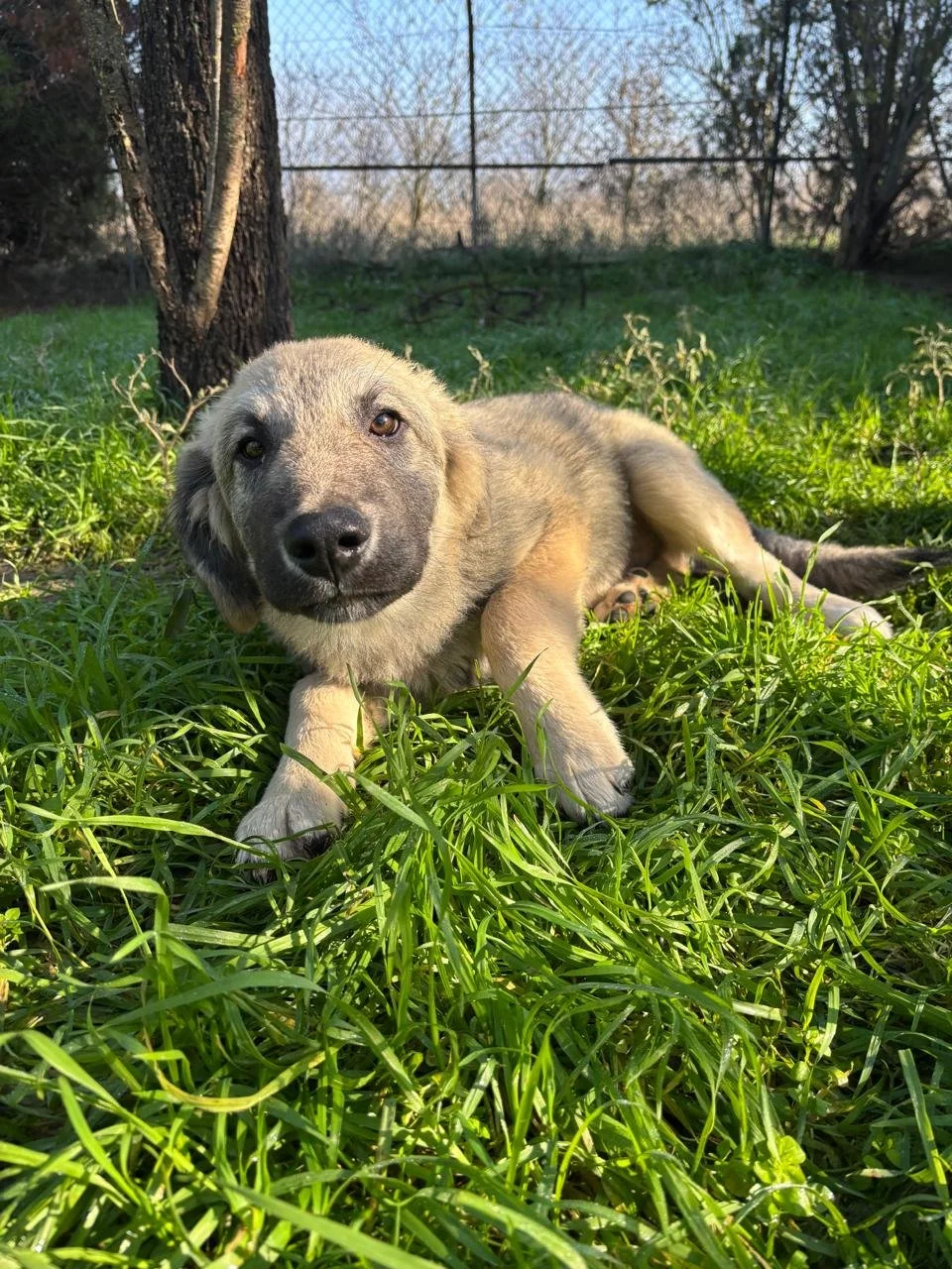 WhatsApp Bild 2025-12-12 um 17.23.08_a1623744.jpg