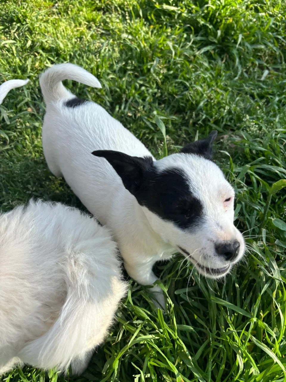 WhatsApp Image 2026-04-05 at 16.46.10 (3).jpeg