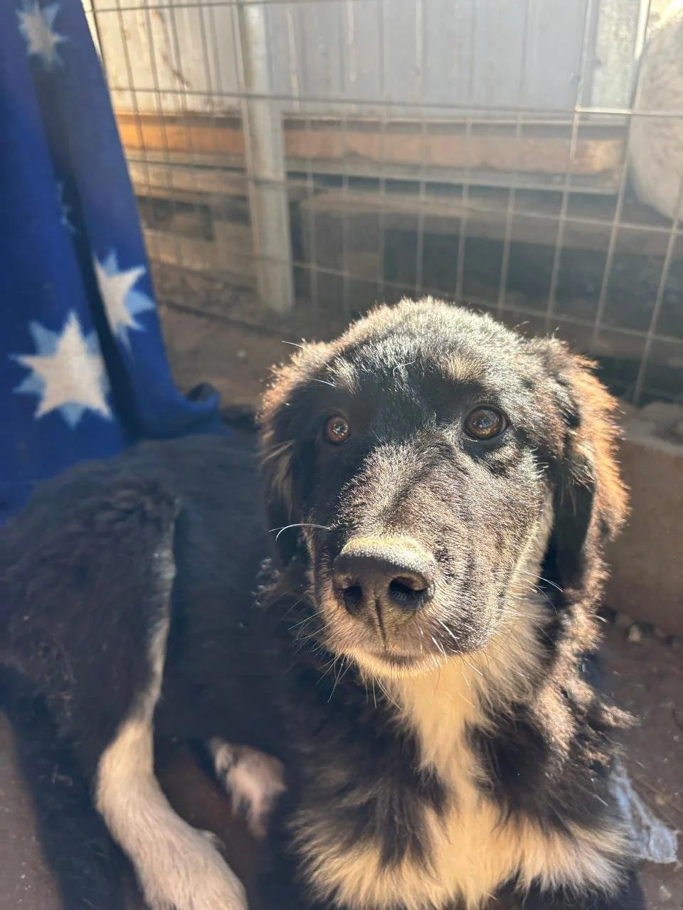 WhatsApp Bild 2025-12-12 um 17.22.42_ce87fce0.jpg