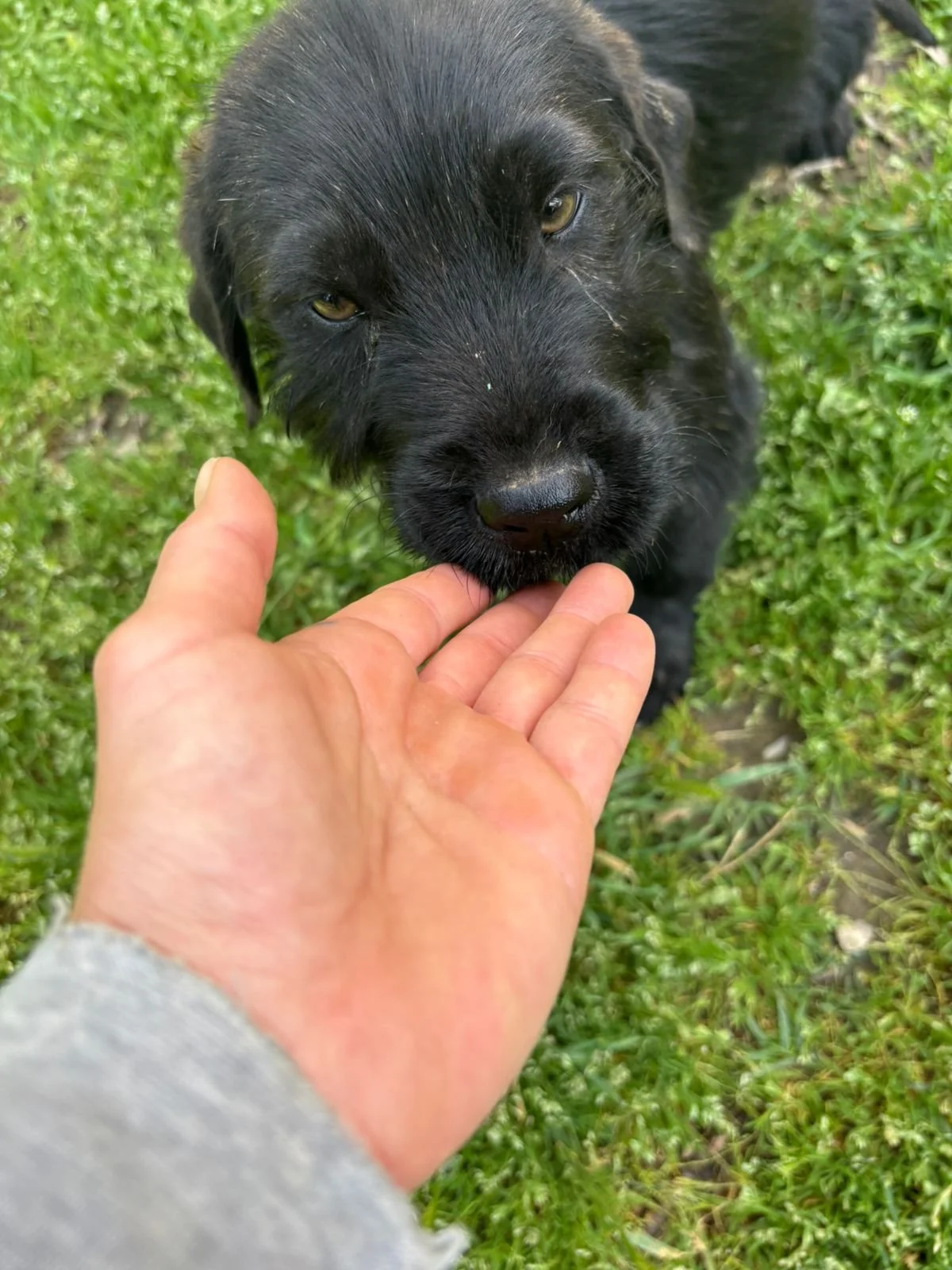 WhatsApp Image 2026-04-23 at 18.35.33.jpeg