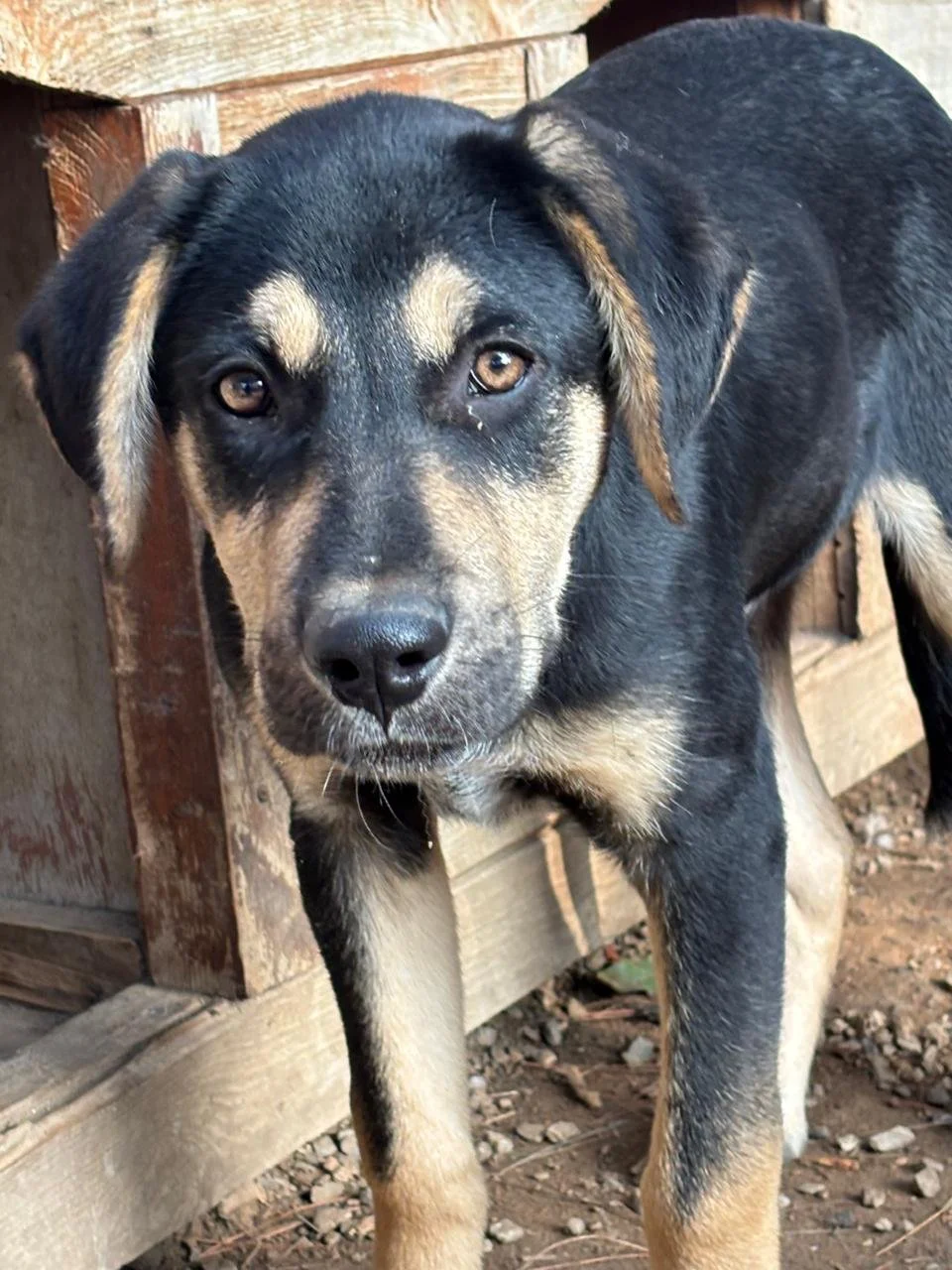 WhatsApp Bild 2025-12-17 um 07.16.53_f23e1e14.jpg