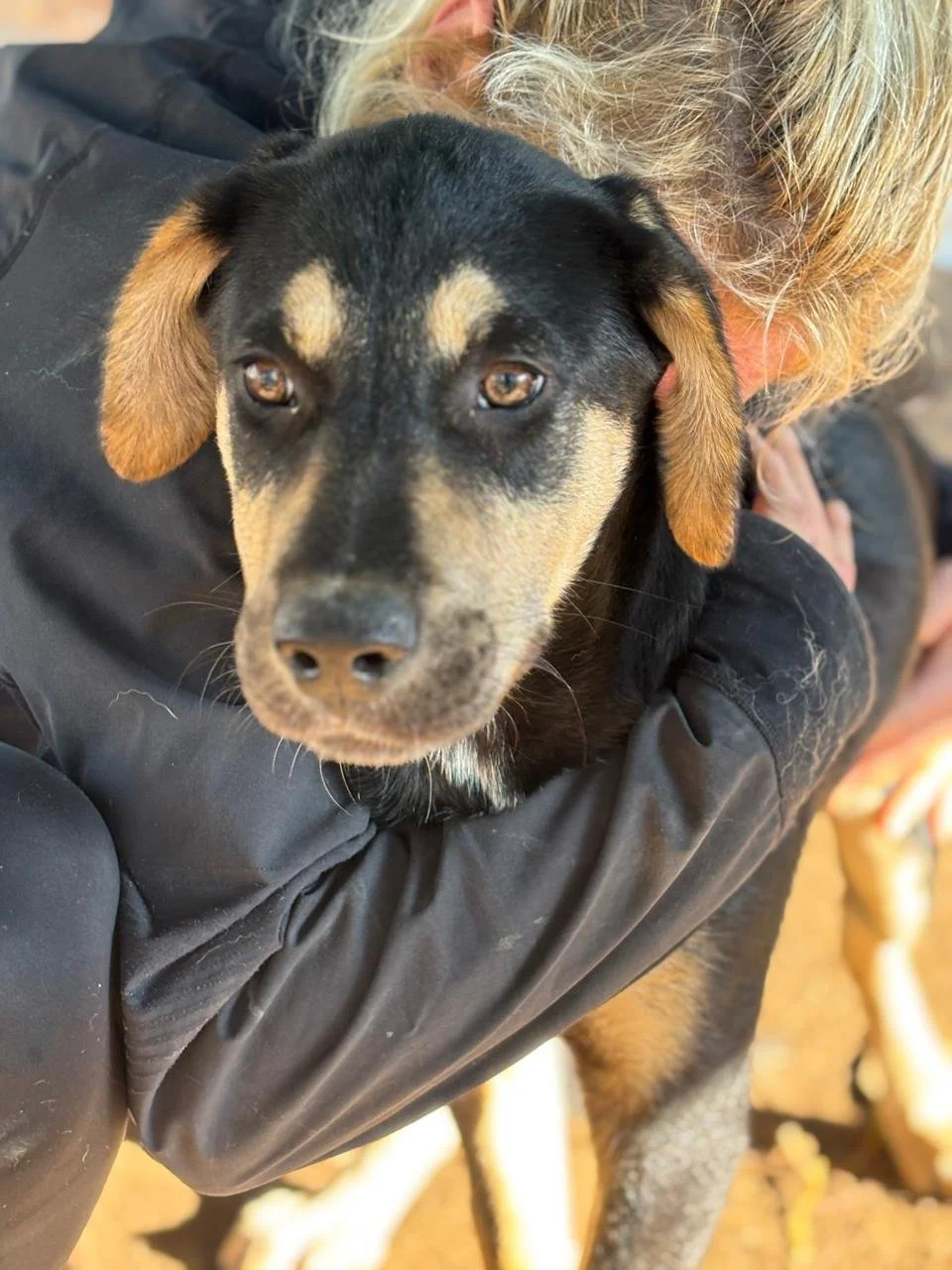 WhatsApp Bild 2025-12-12 um 17.21.09_cb413904.jpg