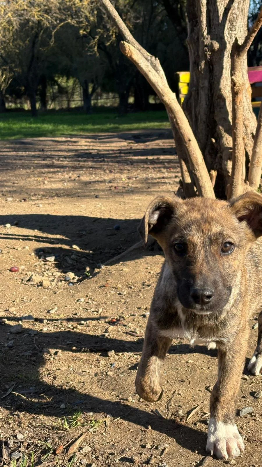 WhatsApp Image 2025-12-27 at 17.57.27.jpeg