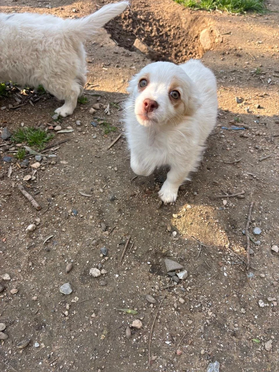 WhatsApp Image 2026-04-05 at 16.41.29 (1).jpeg