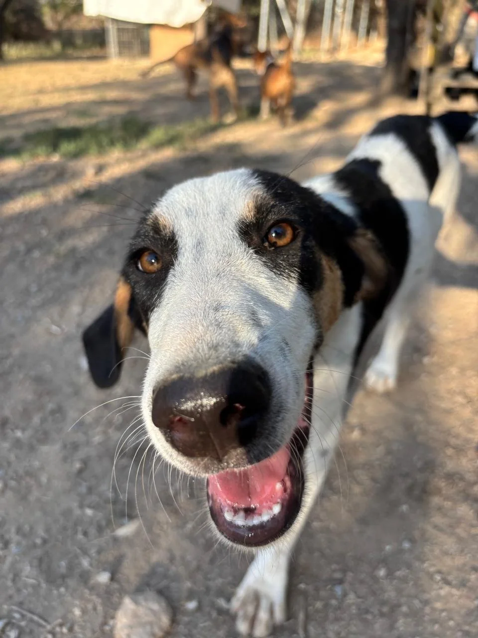 WhatsApp Image 2026-08-26 at 20.16.27.jpeg