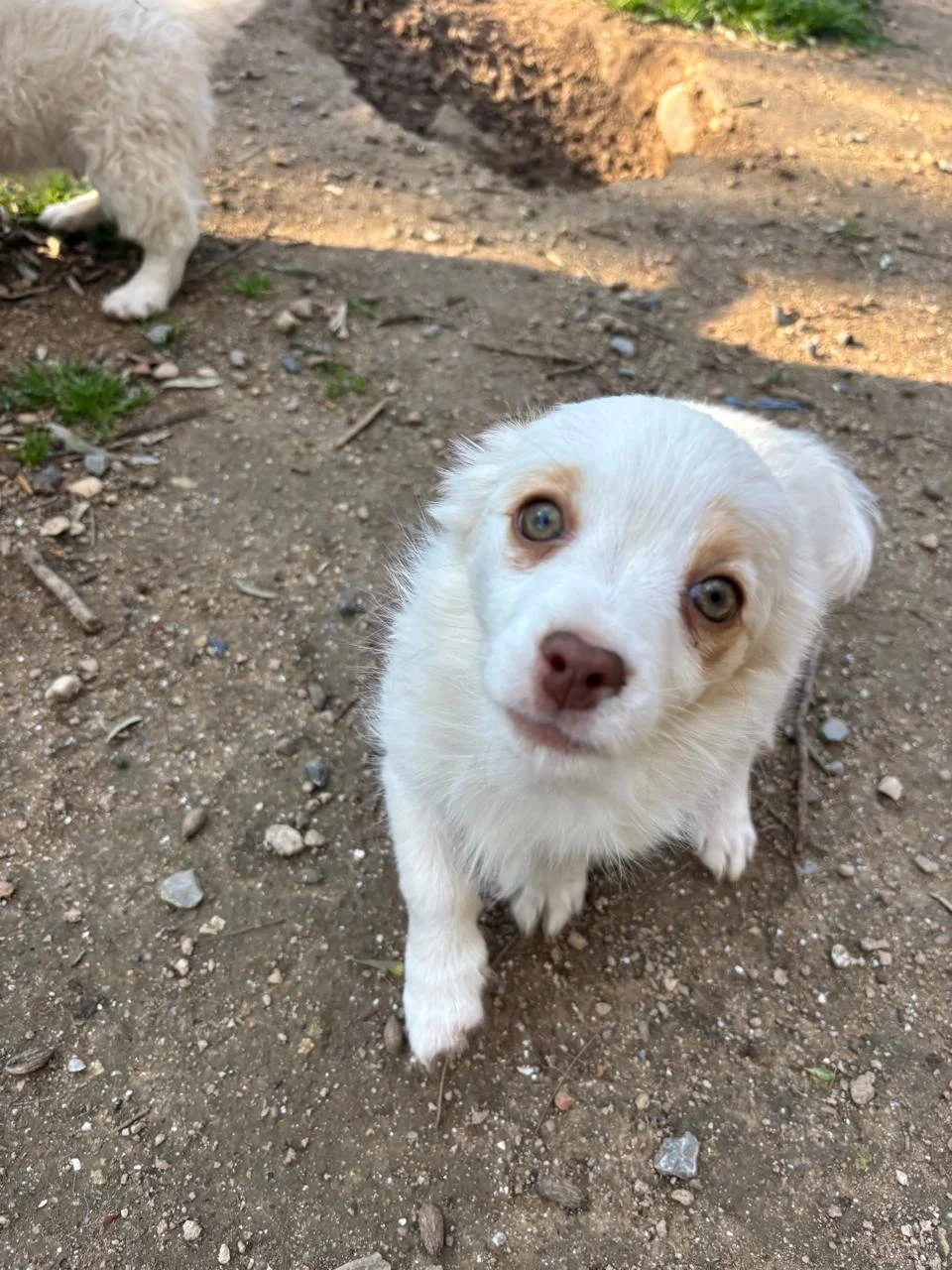 WhatsApp Image 2026-04-05 at 16.41.29 (2).jpeg