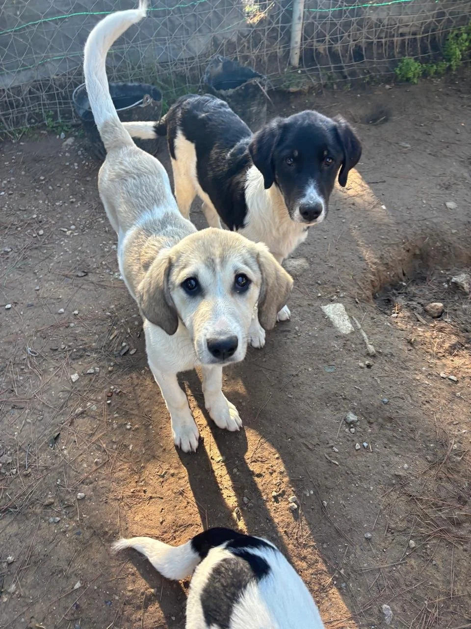 WhatsApp Bild 2025-12-09 um 13.39.56_556b4d7c.jpg