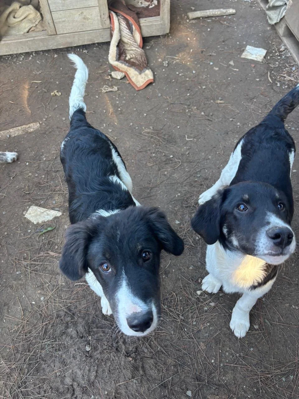 WhatsApp Bild 2025-12-09 um 13.41.28_f7397793.jpg