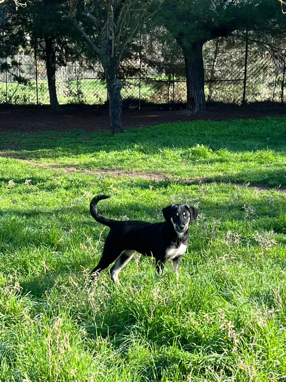 WhatsApp Bild 2025-12-01 um 10.14.28_b02827de.jpg