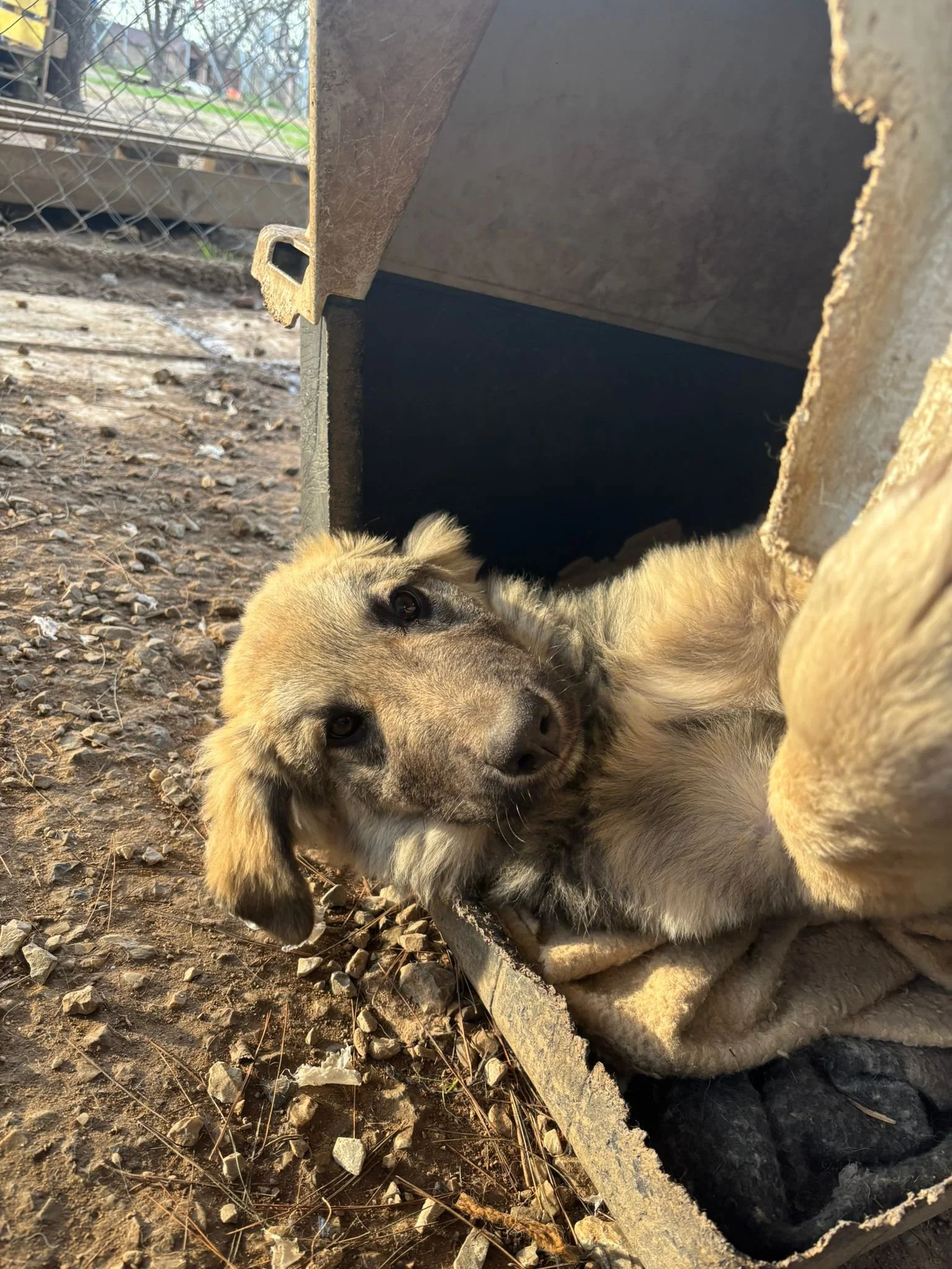 WhatsApp Image 2025-12-27 at 19.20.23.jpeg