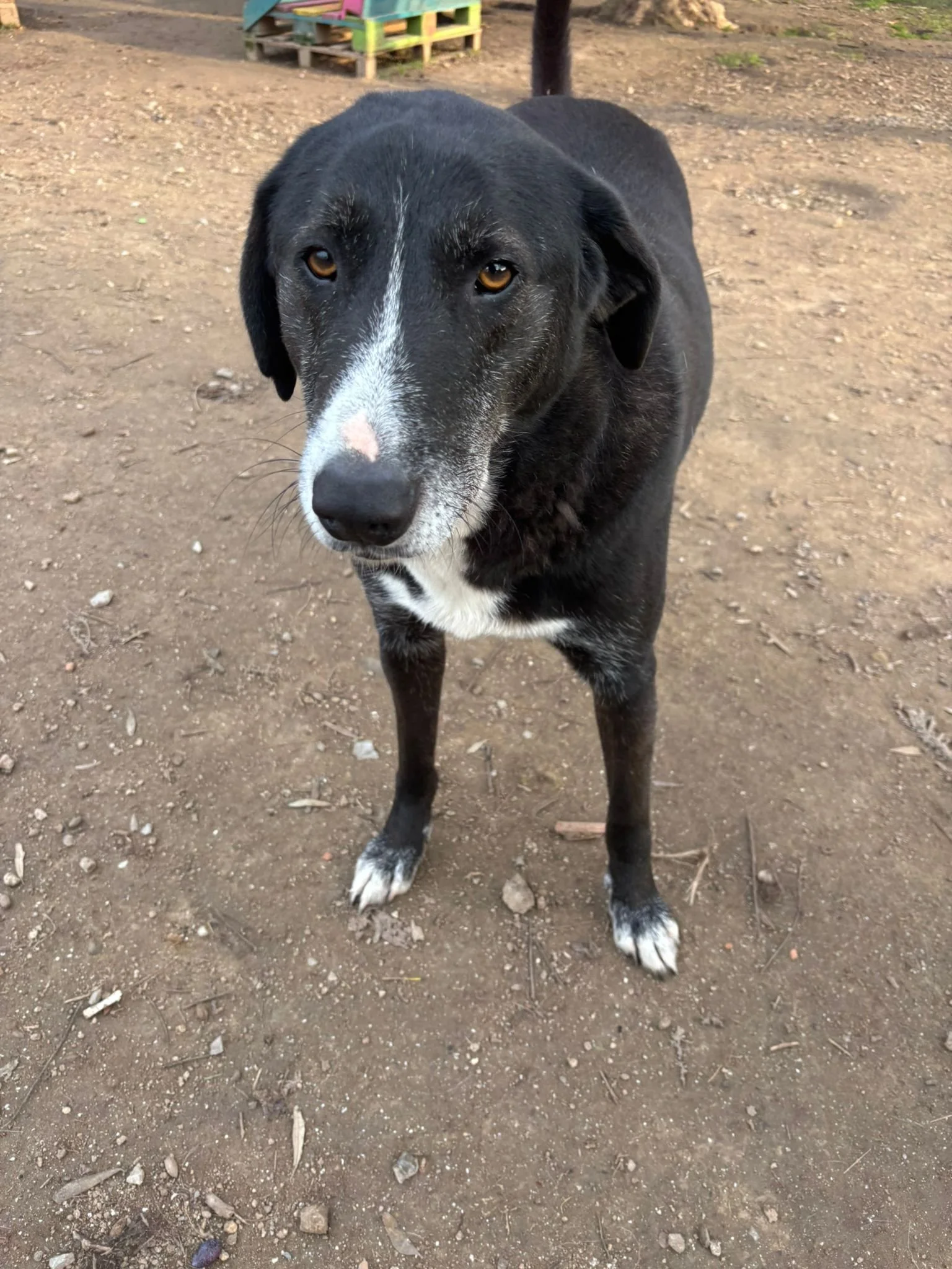 WhatsApp Image 2025-12-27 at 19.20.18.jpeg