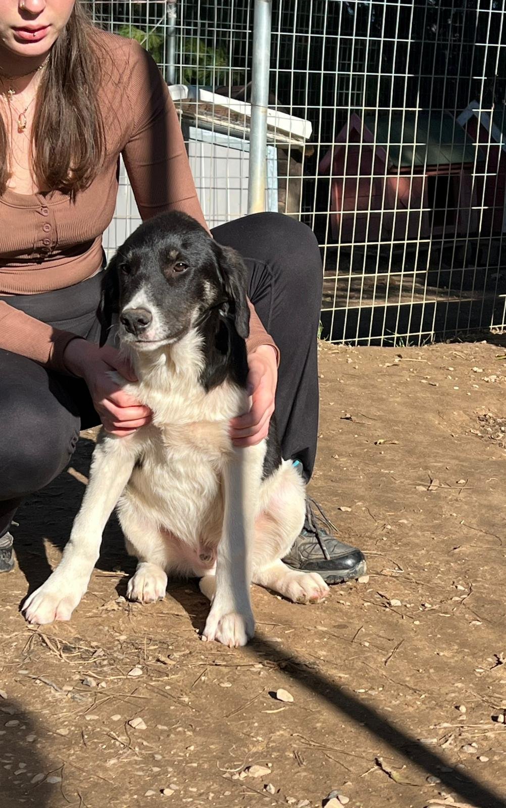 WhatsApp Bild 2025-11-30 um 12.54.45_a71b7d38.jpg